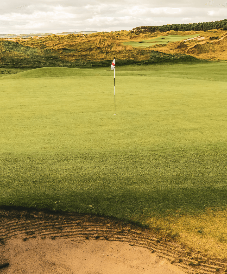 A golf course in Scotland with wild grass and rolling green hills in the background.