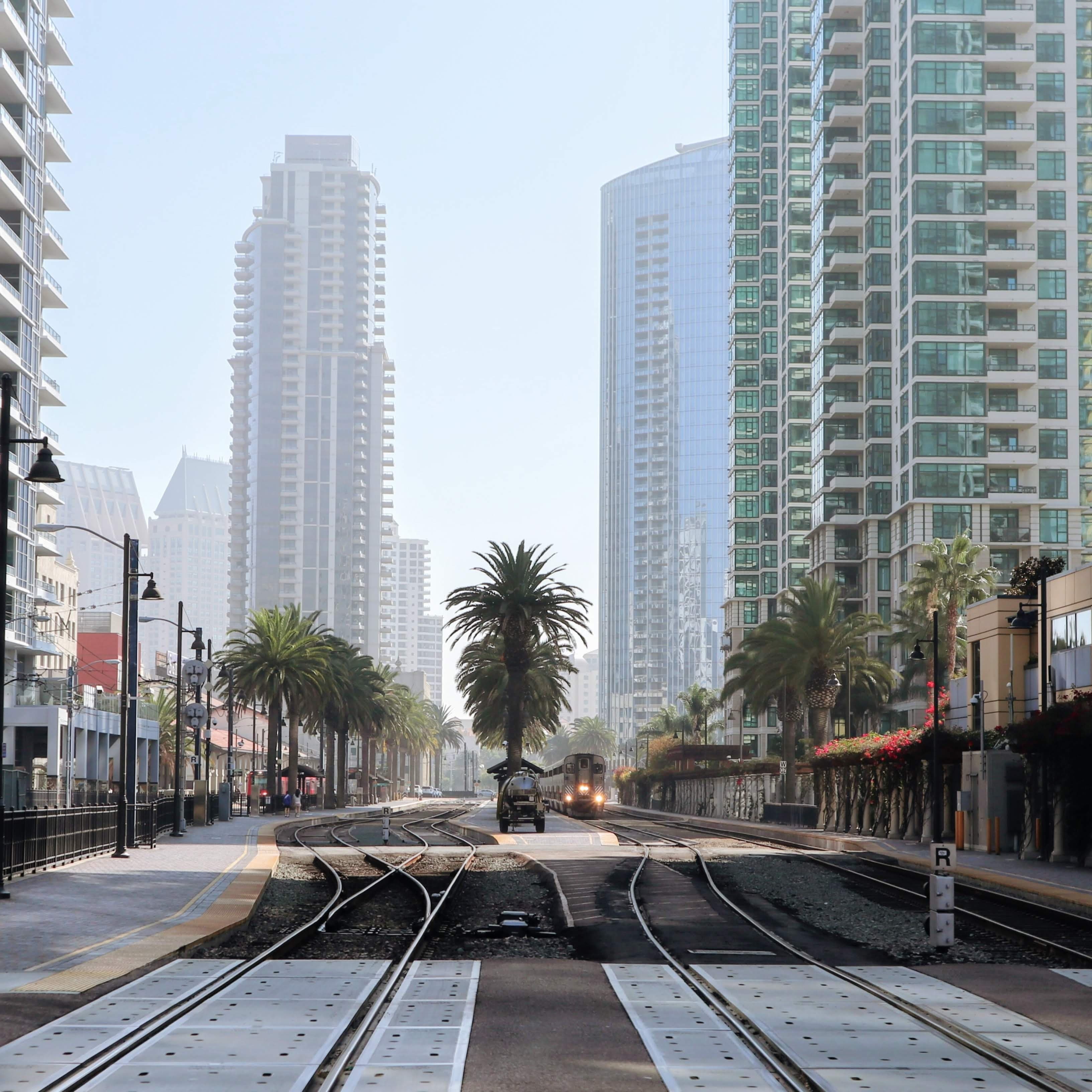 Street with palm trees, cars and buildings.