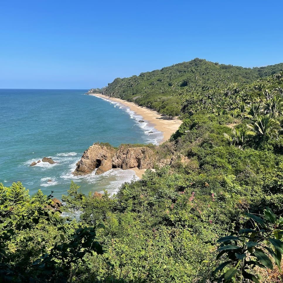 Beach with green trees at shore.