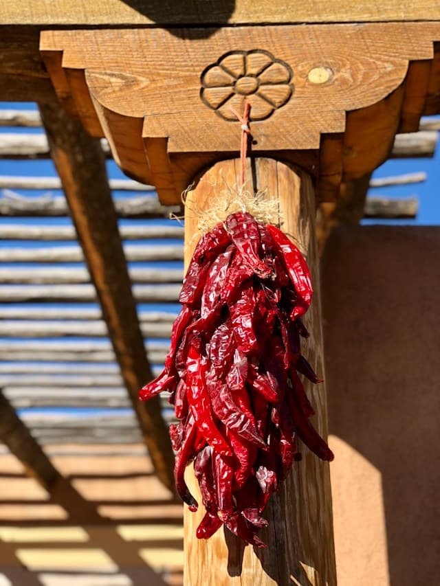 hanging red chillies