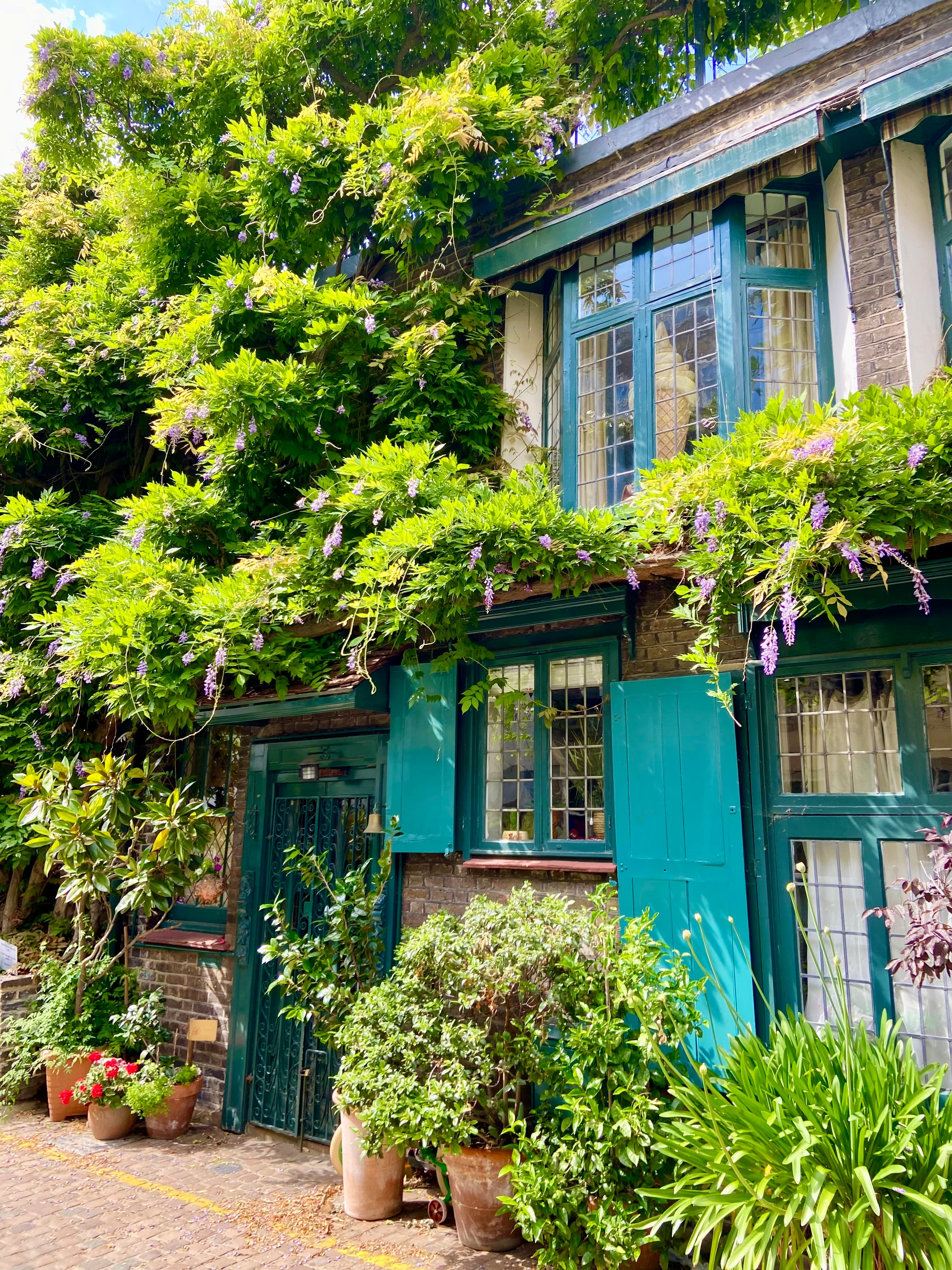 A view of a building with turquoise doors and shutters surrounded by potted plants and trees that are all green.