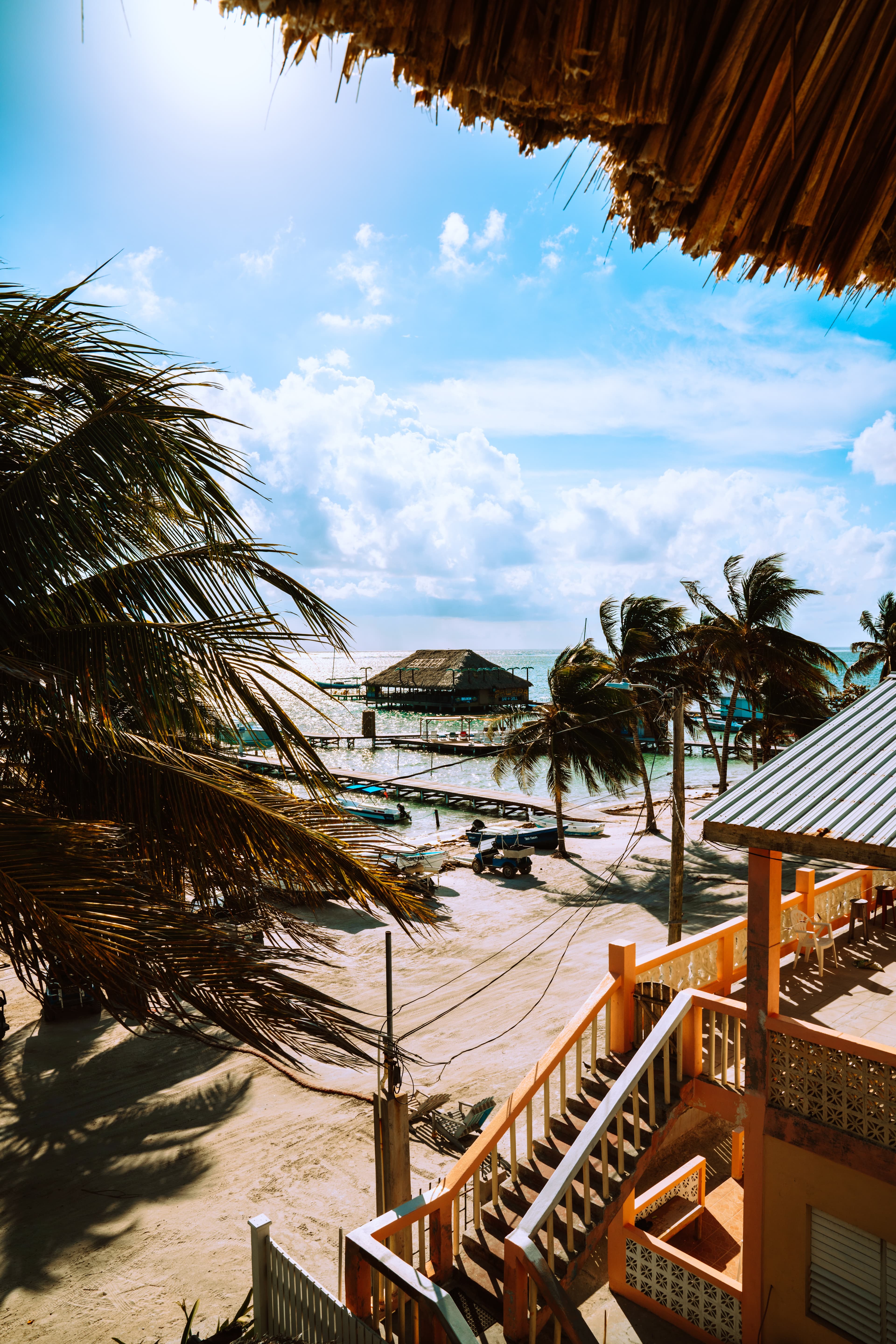 palm trees on a beach during daytime