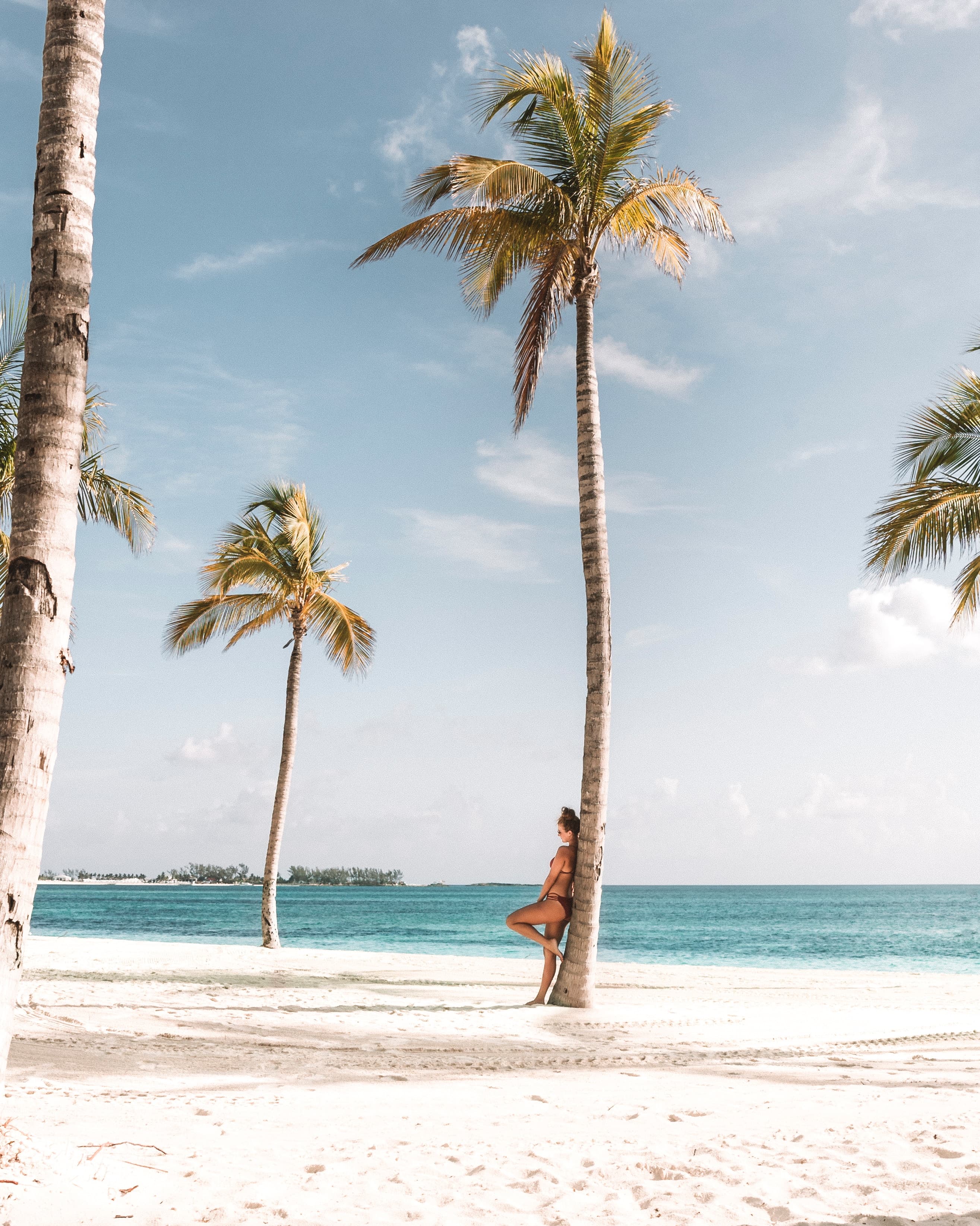 Beach with light blue water and palm trees.