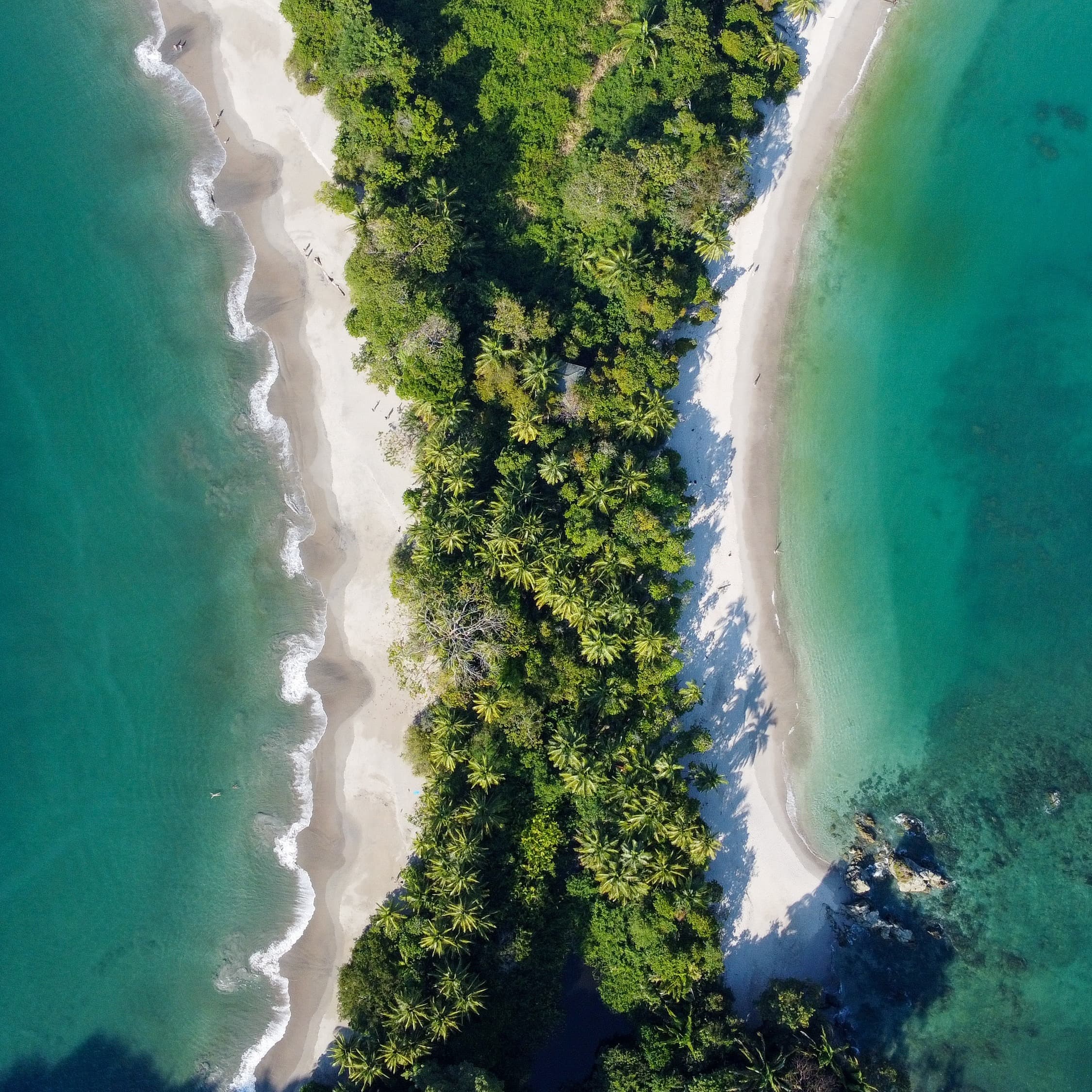 Beach view at Costa Rice having trees in between 2 beaches