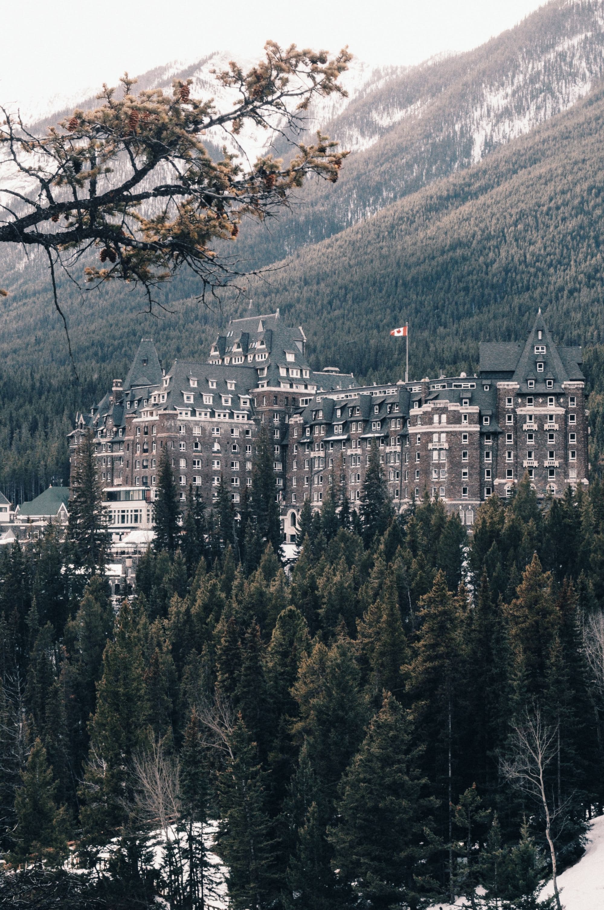 Gray and brown building surrounded by trees at daytime.