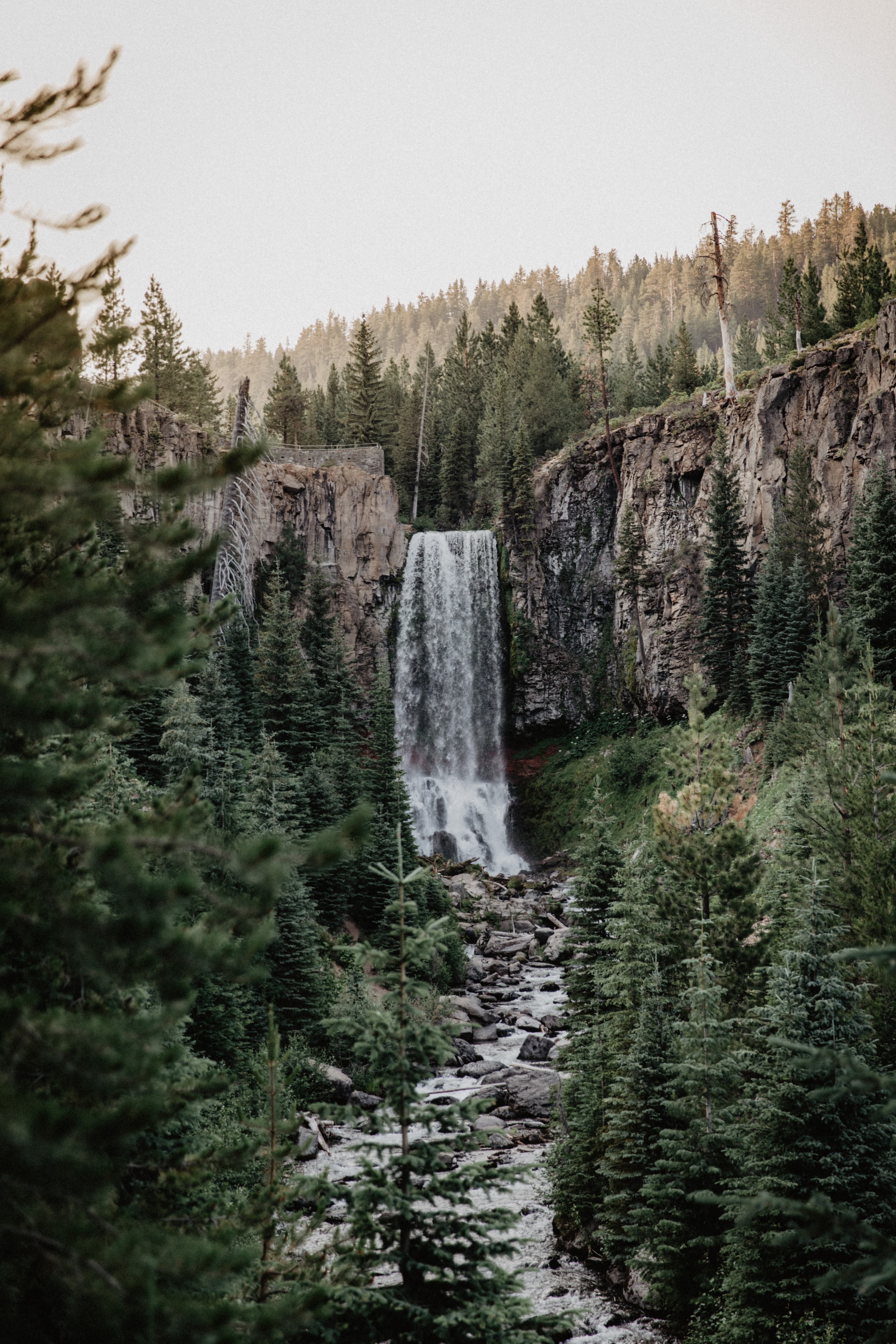 Waterfall and river surrounded by green forest