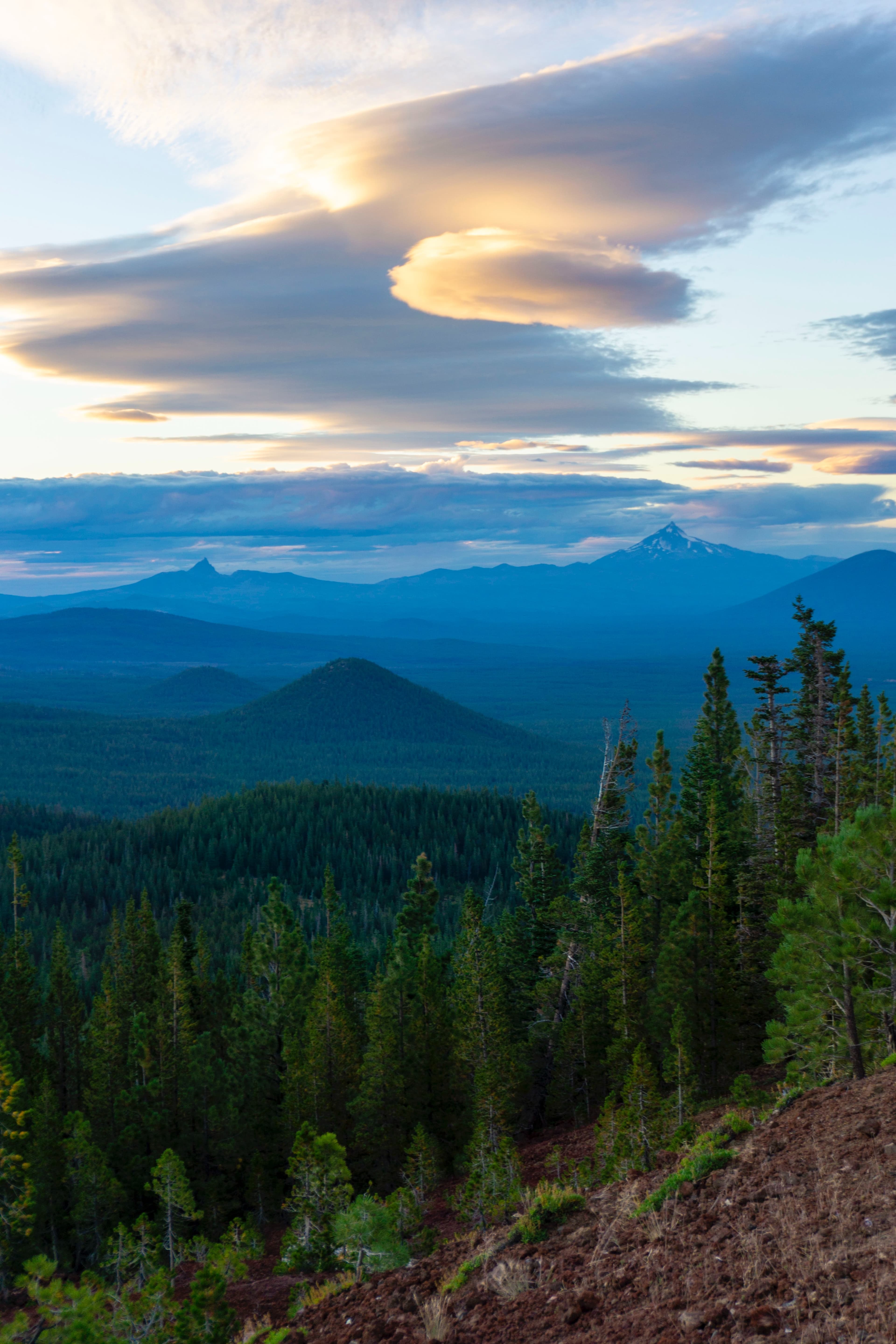 Green trees with blue mountains in the background with yellow and blue clouds in the sky