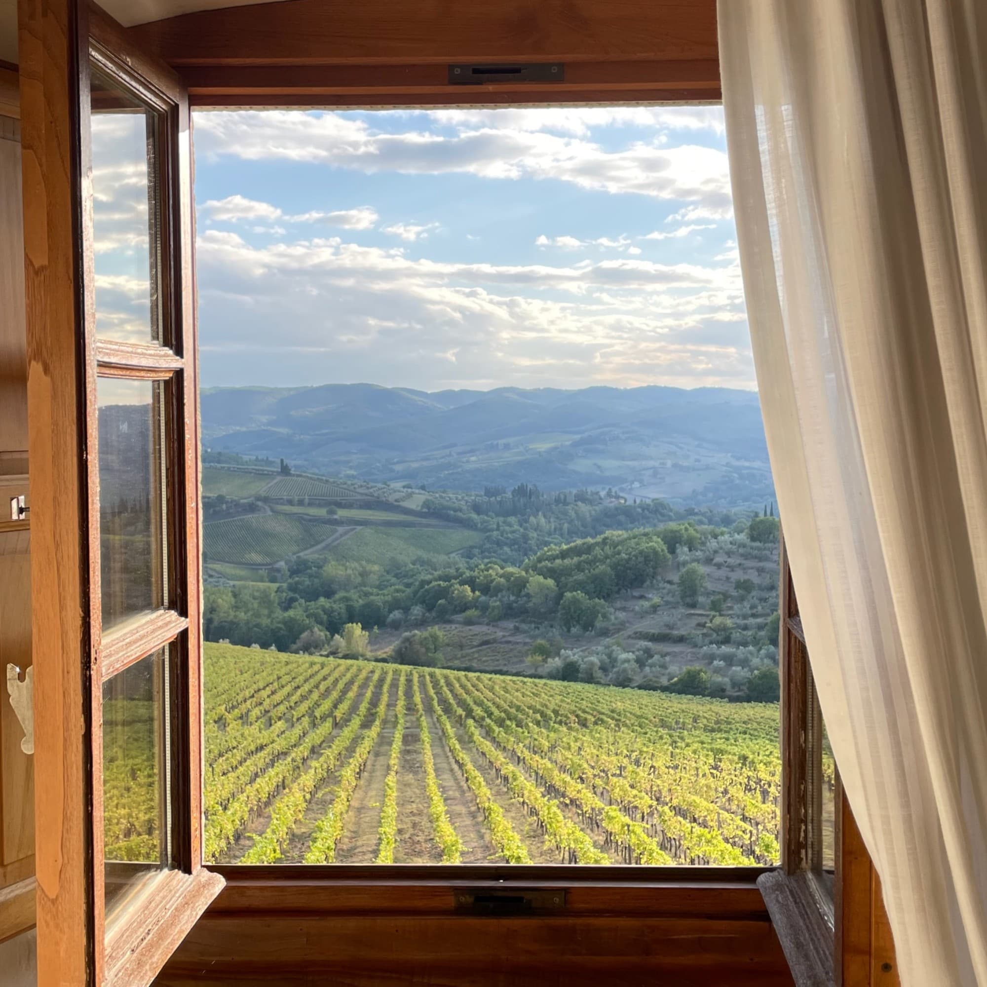 Green landscape  from a wooden brown window.