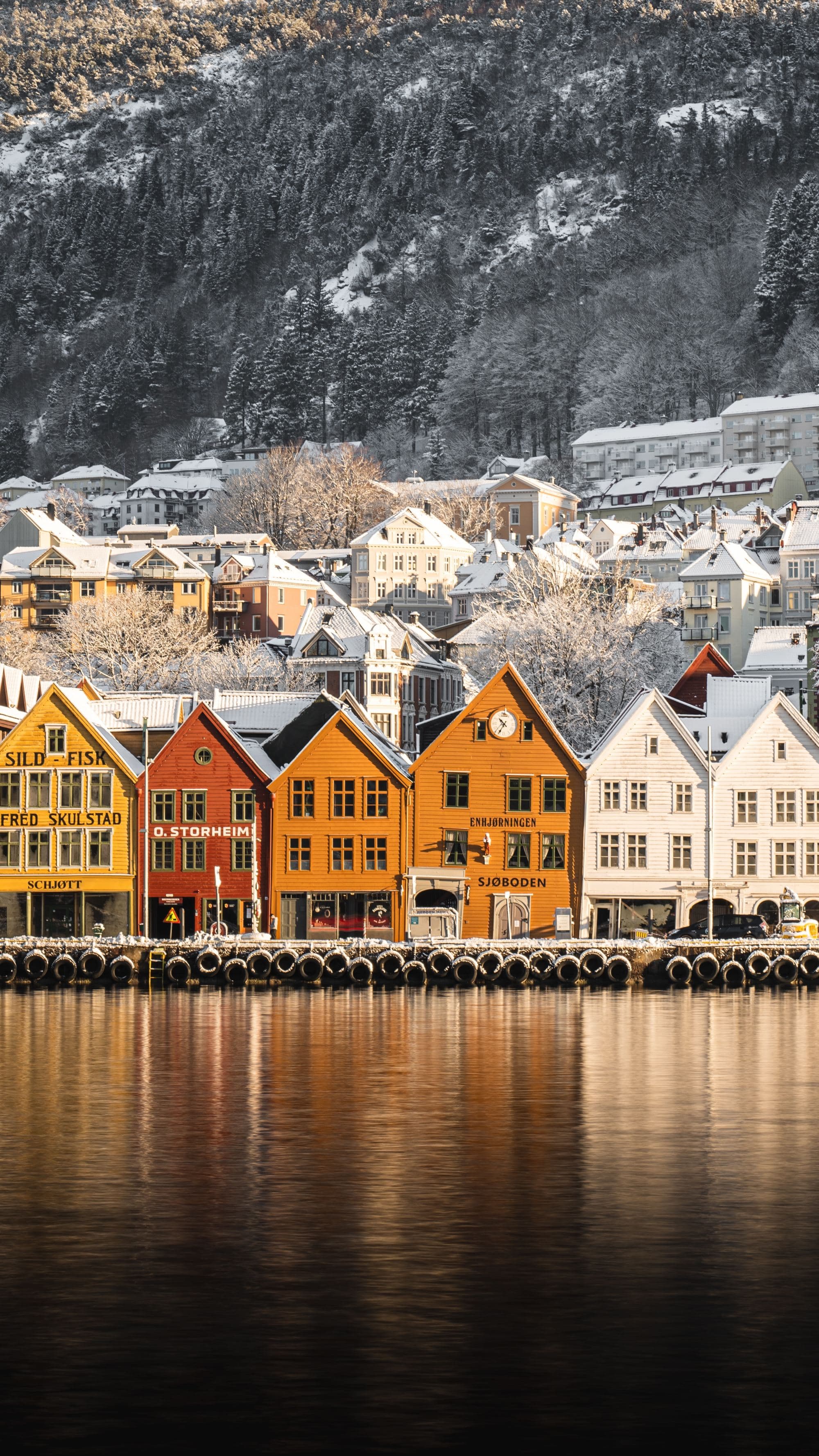 town on the water with colorful buildings and snowy mountains