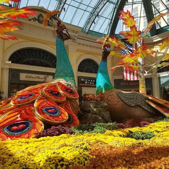 Two big colorful statues of peacocks.