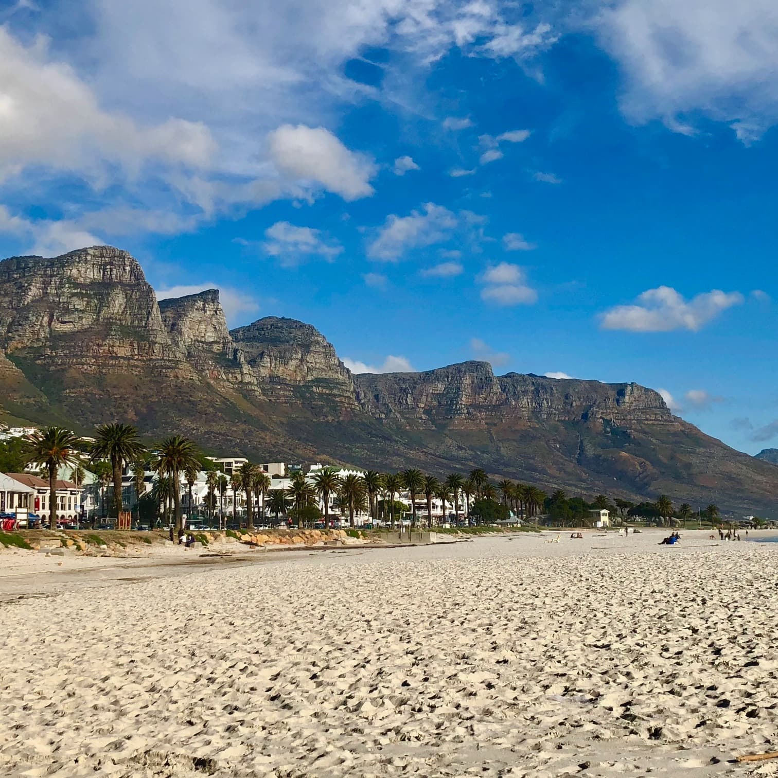 A sandy beach with palm trees, buildings and a mountain range against it.