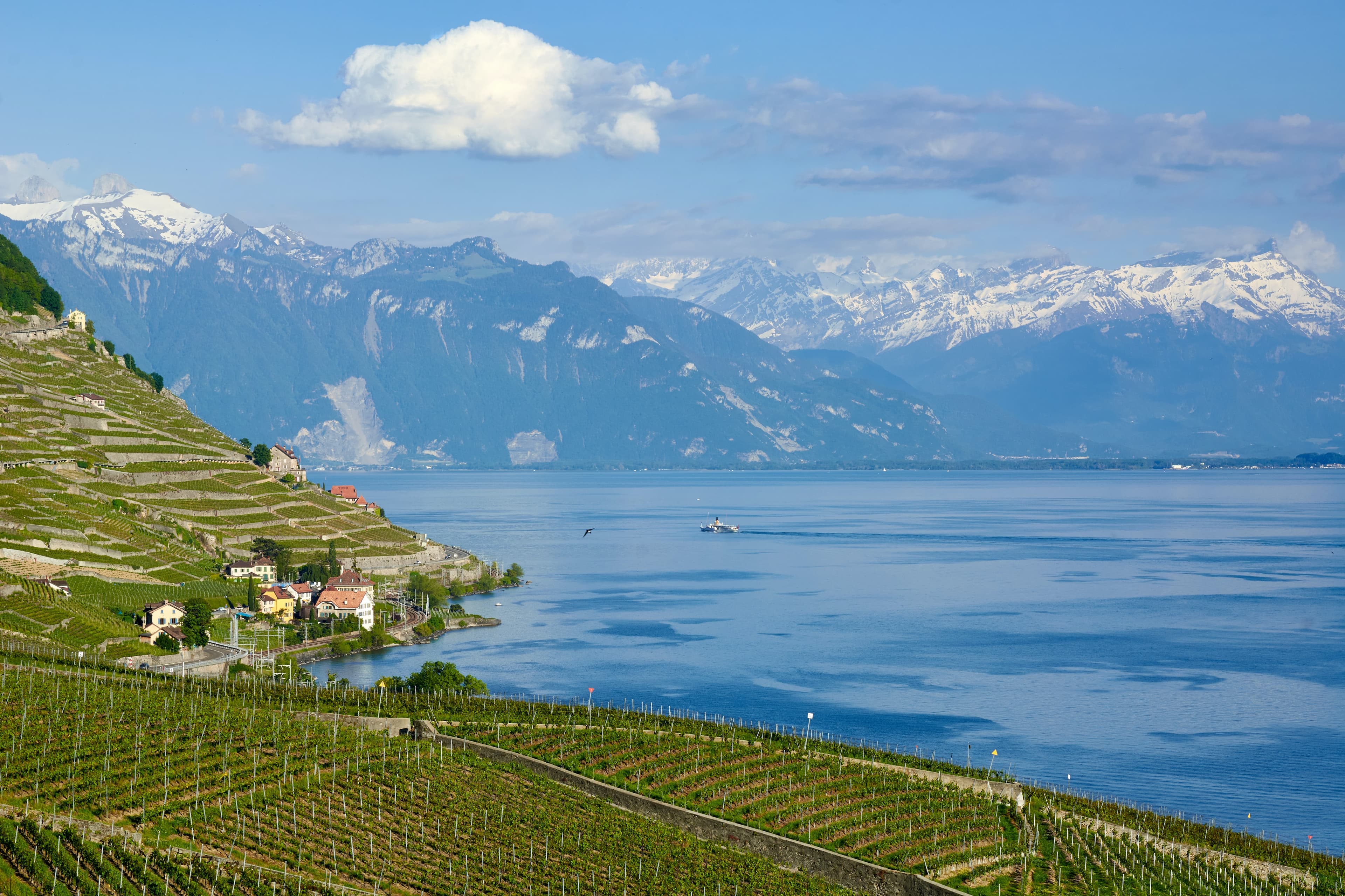 mountains near a body of water during daytime