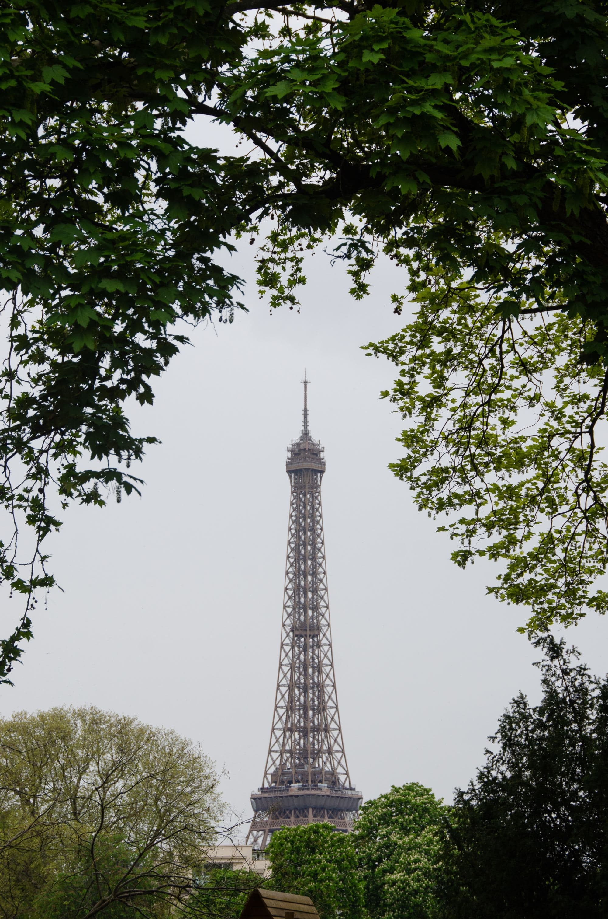 View of Eiffel Tower during day time.