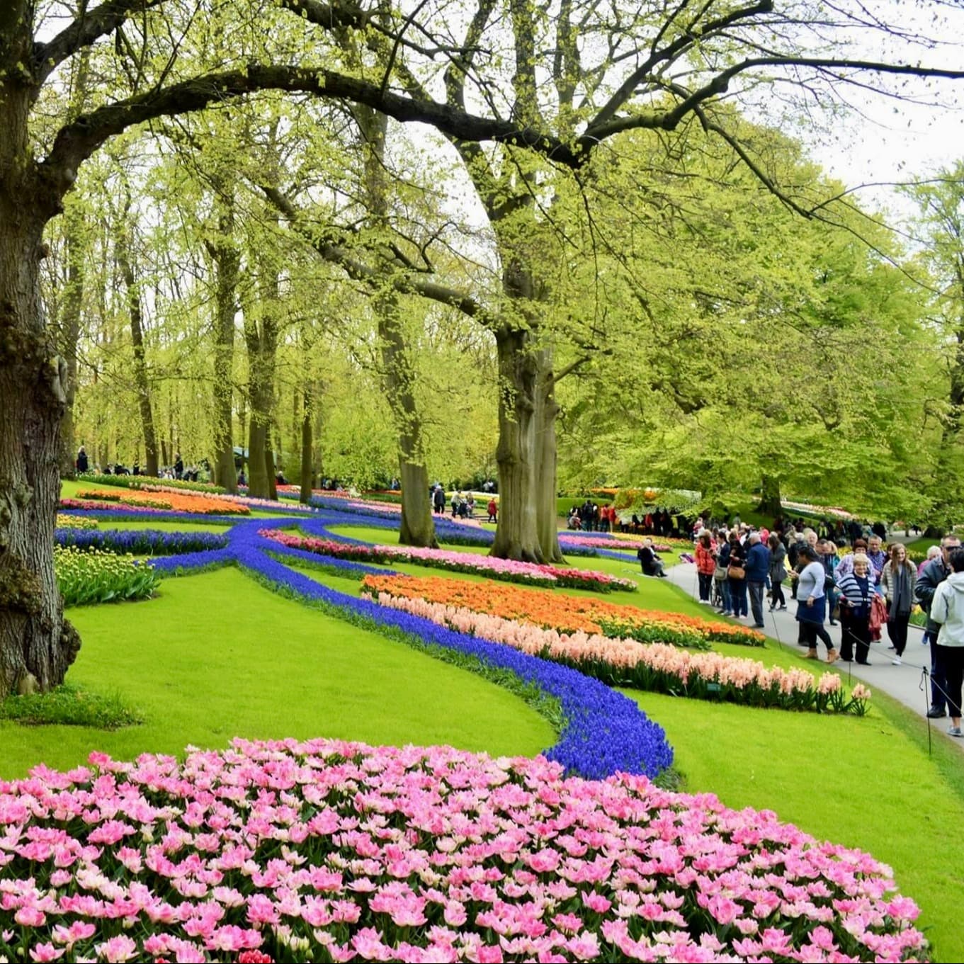 A far view of the botanical garden during the daytime.