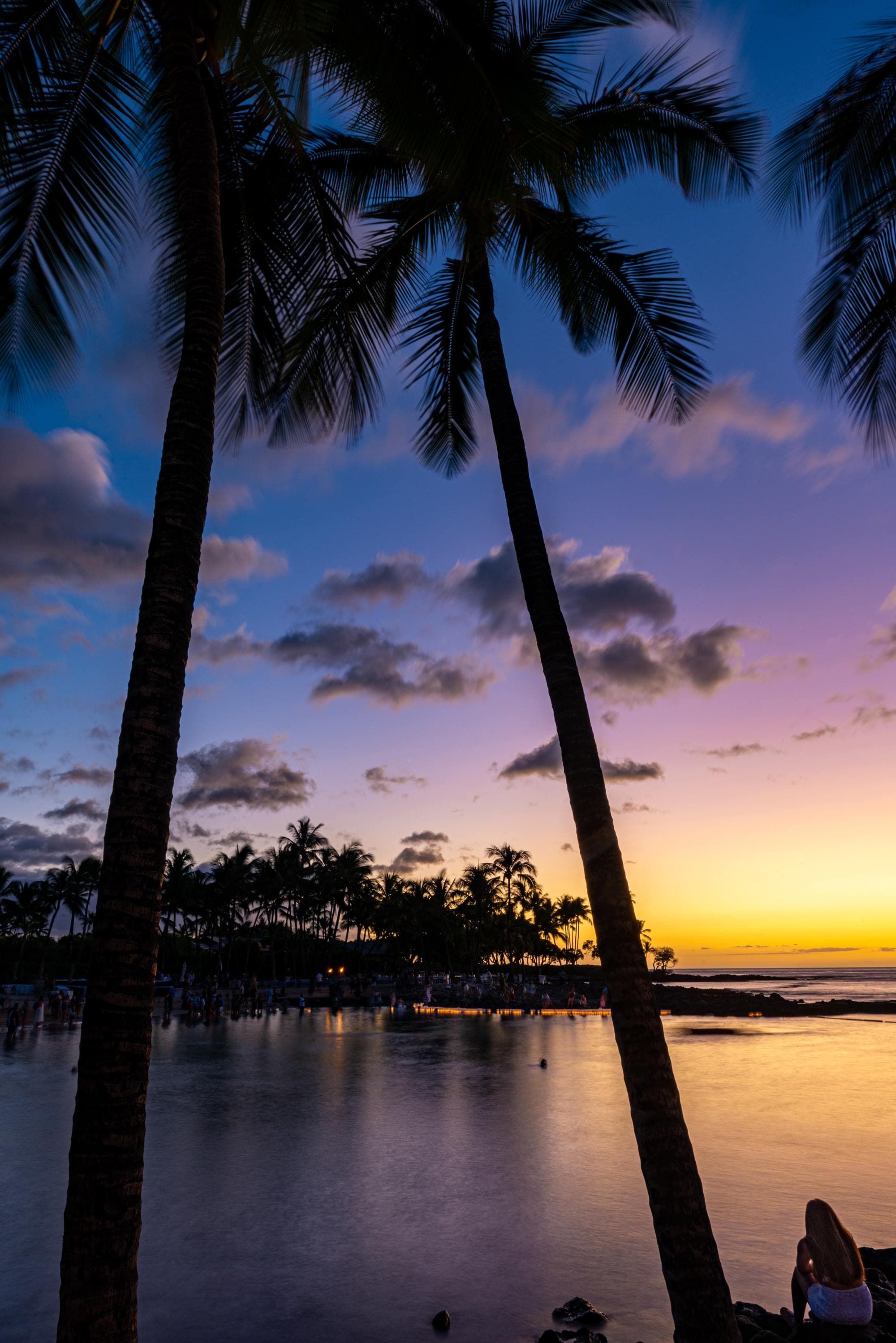 purple pink and yellow sunset over ocean with silhouette of palm trees