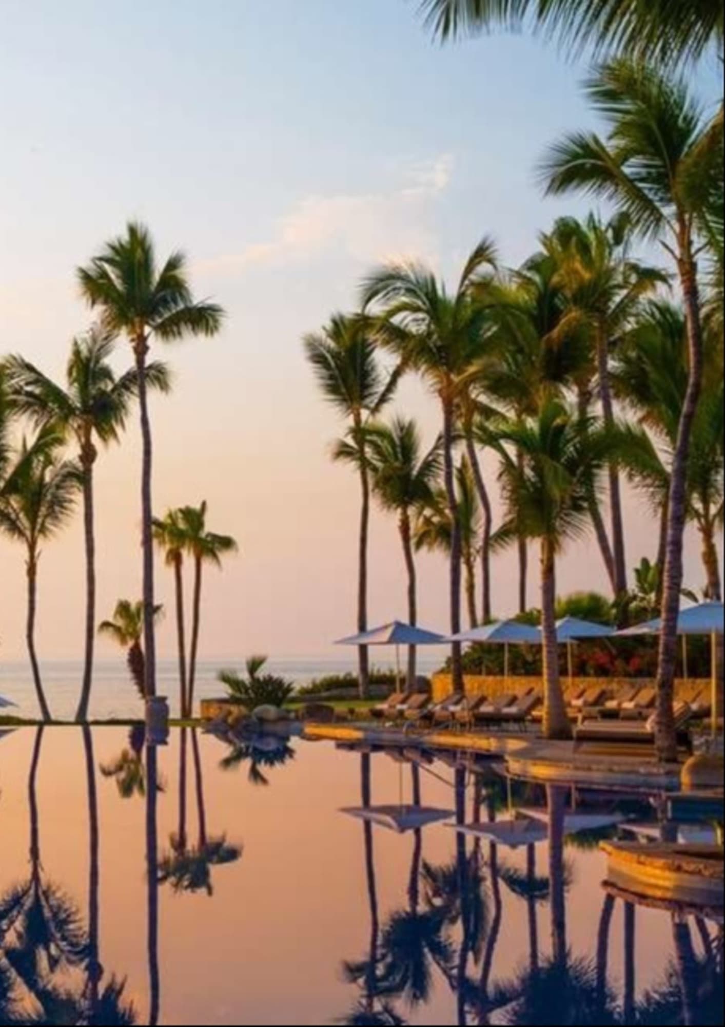 A tranquil resort pool lined with palm trees during a sunset.