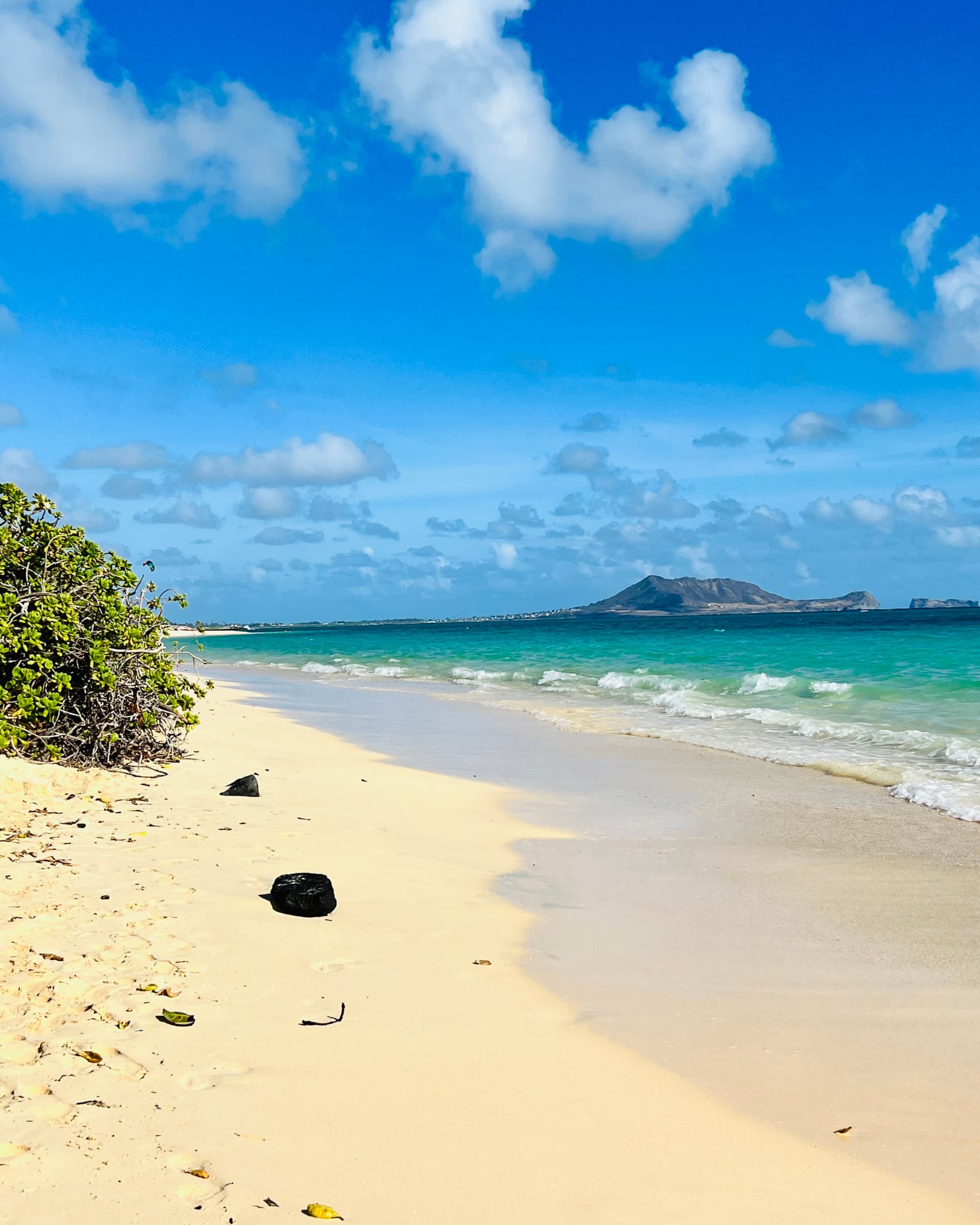 Beach on a sunny day.