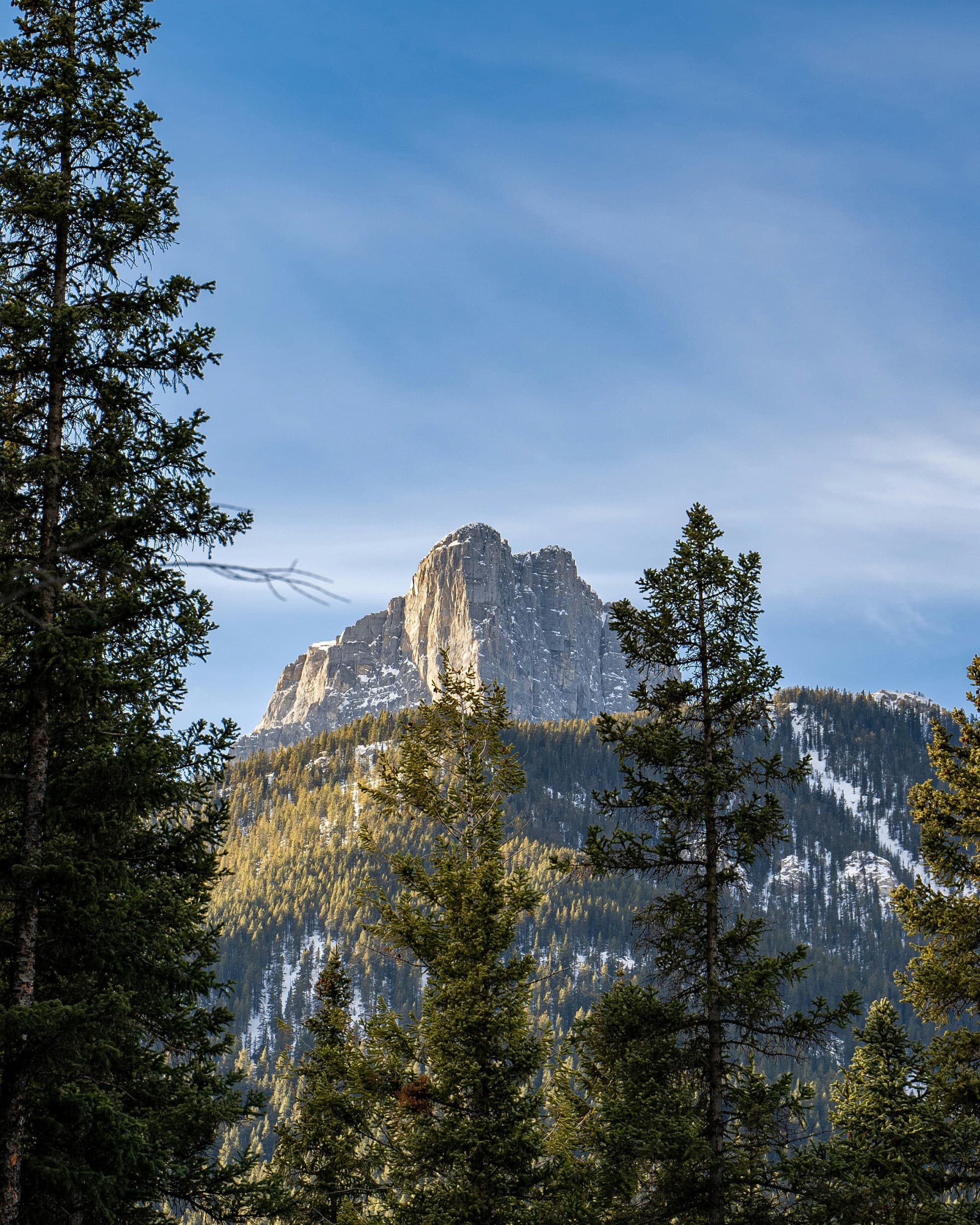 A towering, rugged mountain peak rises behind a forest of tall coniferous trees under a blue sky with light clouds.