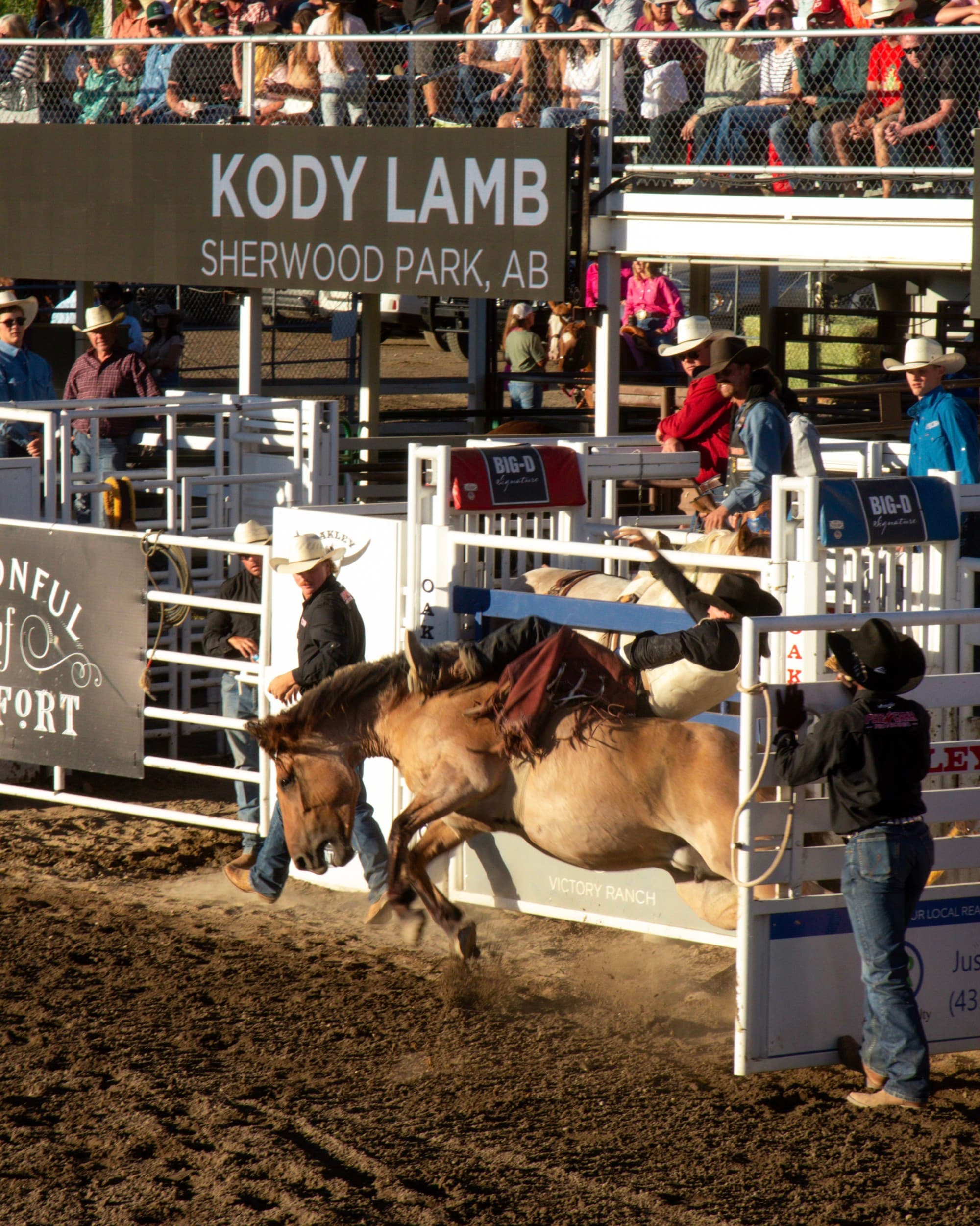 The image depicts a dynamic rodeo scene with a rider on a bucking horse, amidst an audience and other participants.