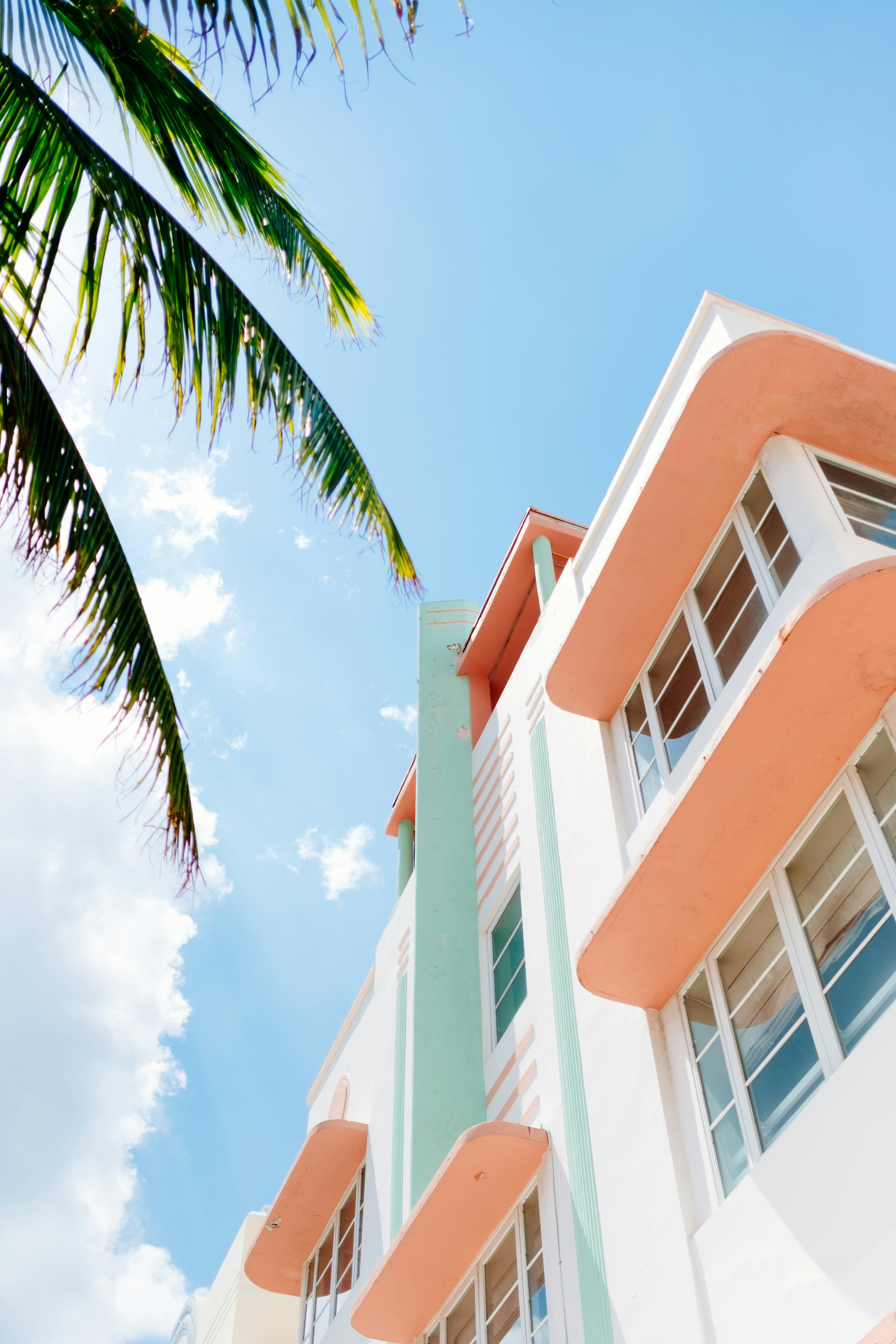 The image shows a swing hanging from a bent palm tree on a tranquil beach with clear skies.