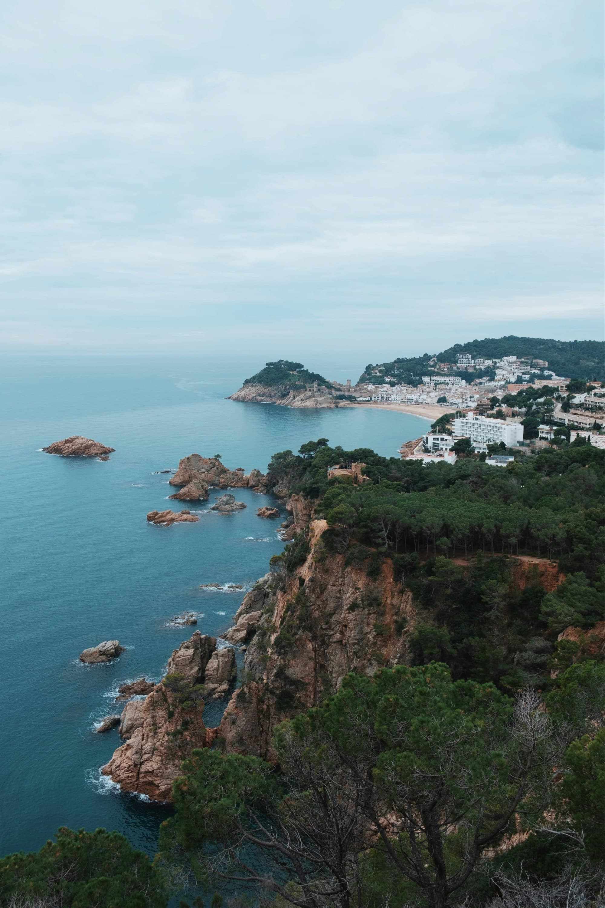 An aerial view of rock formations and trees next to the ocean.