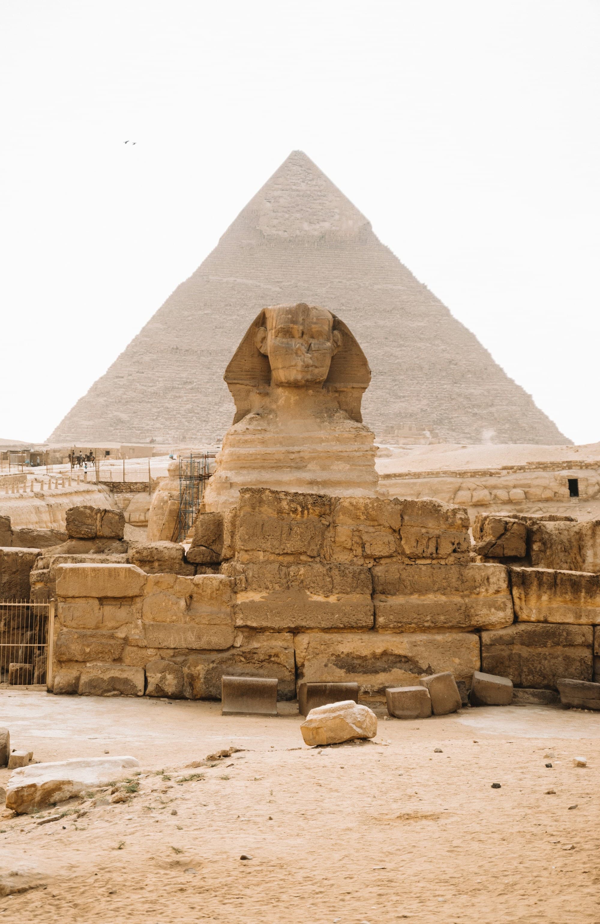 The Sphinx in front of the Pyramids of Giza