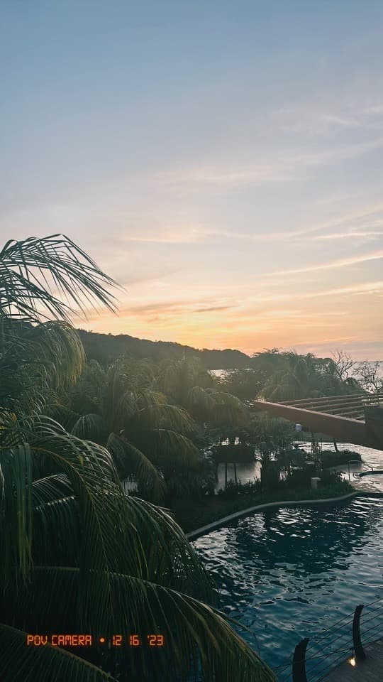 Palm trees and a water body at sunset.