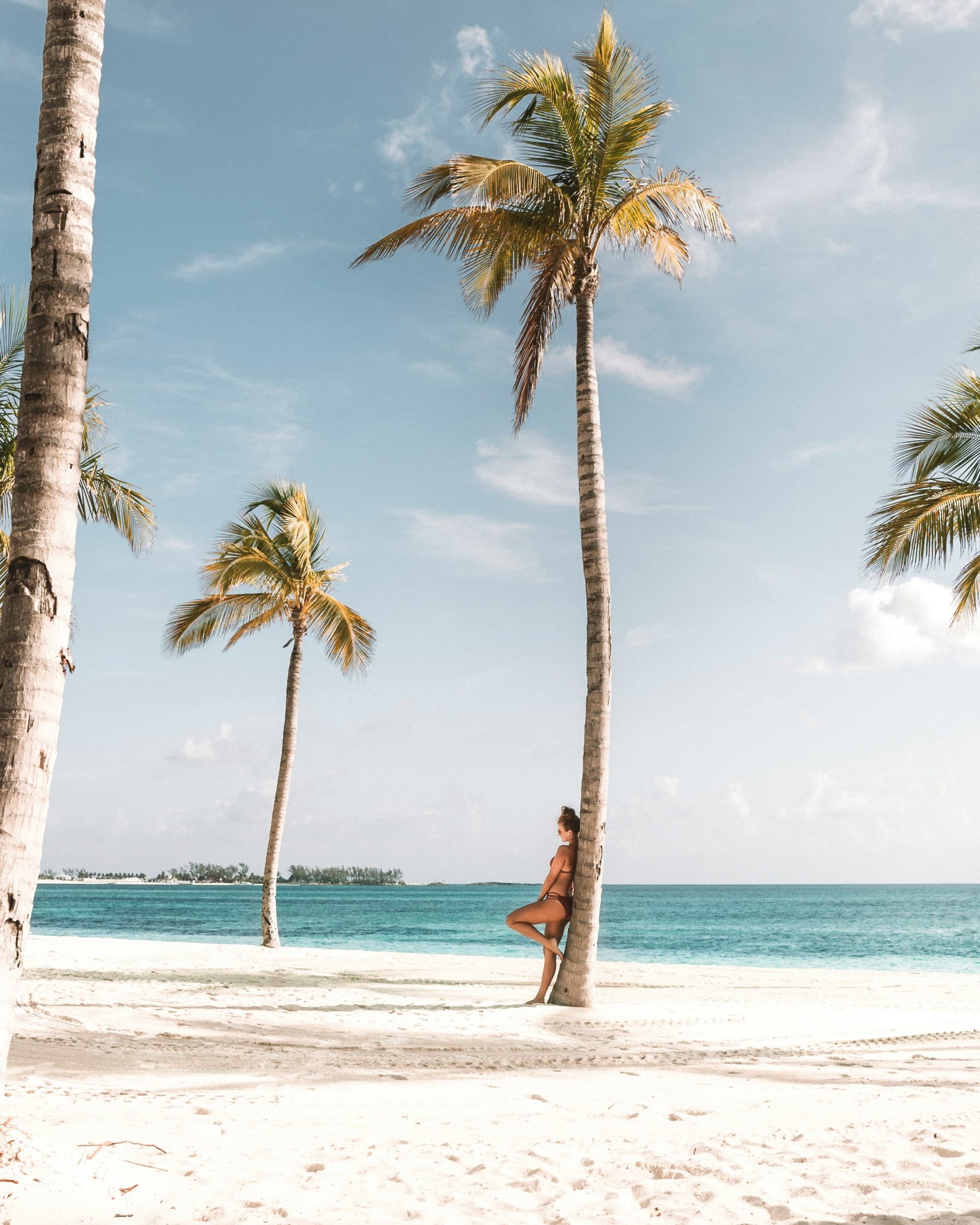 An image of a woman leaning against a palm tree on a beautiful beach