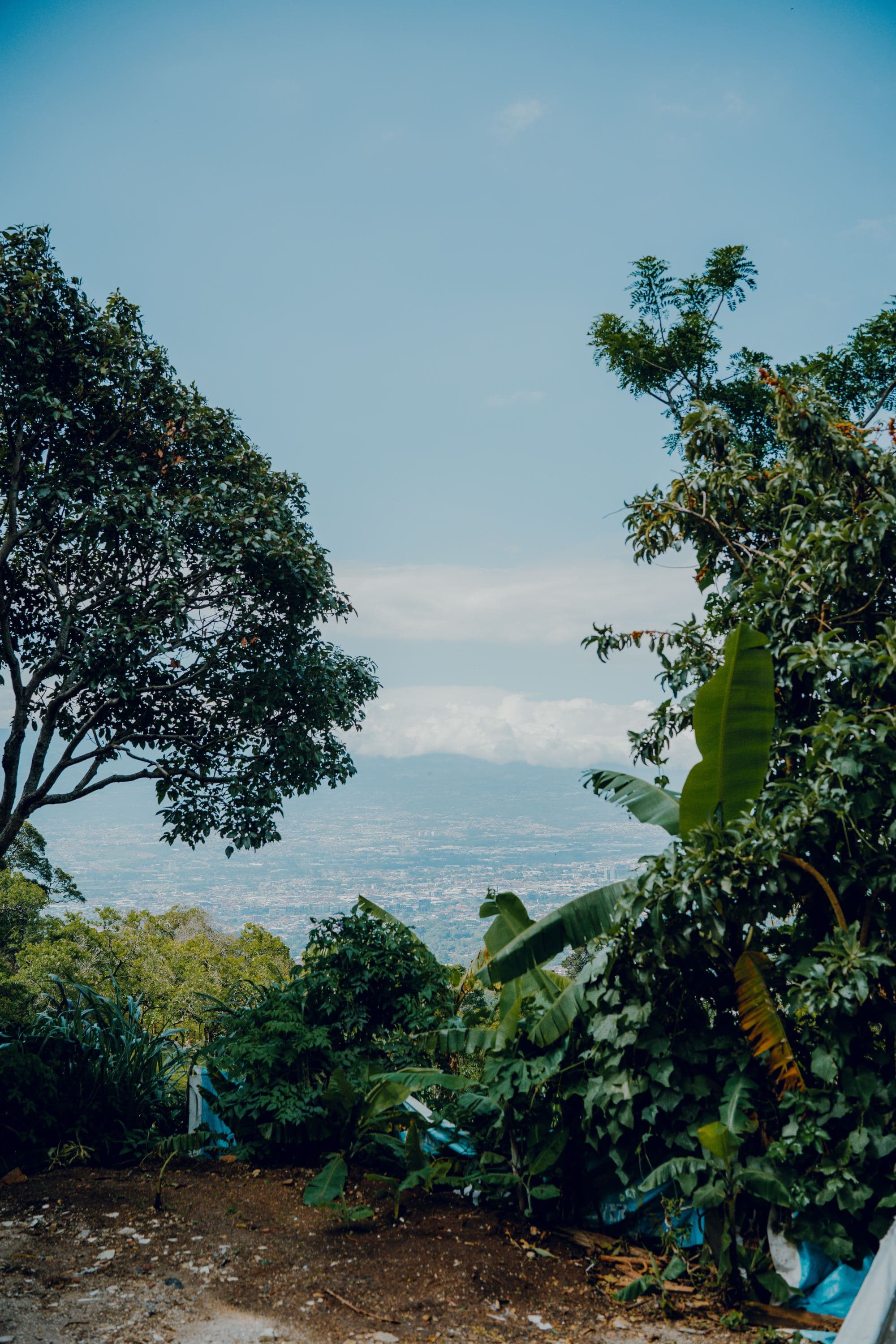 view through tropical trees of jungles and beaches in the distance