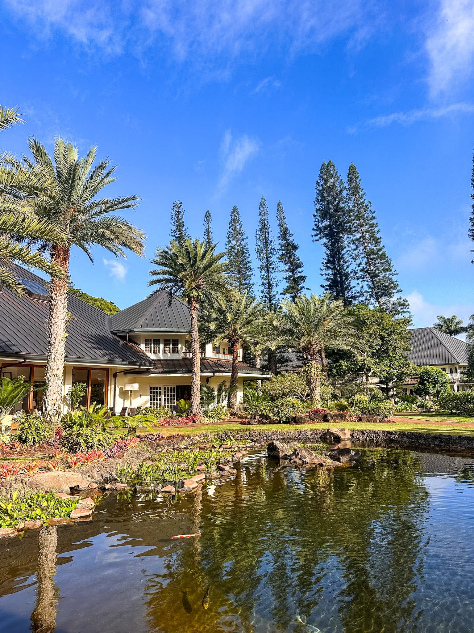 Lake and lake side view