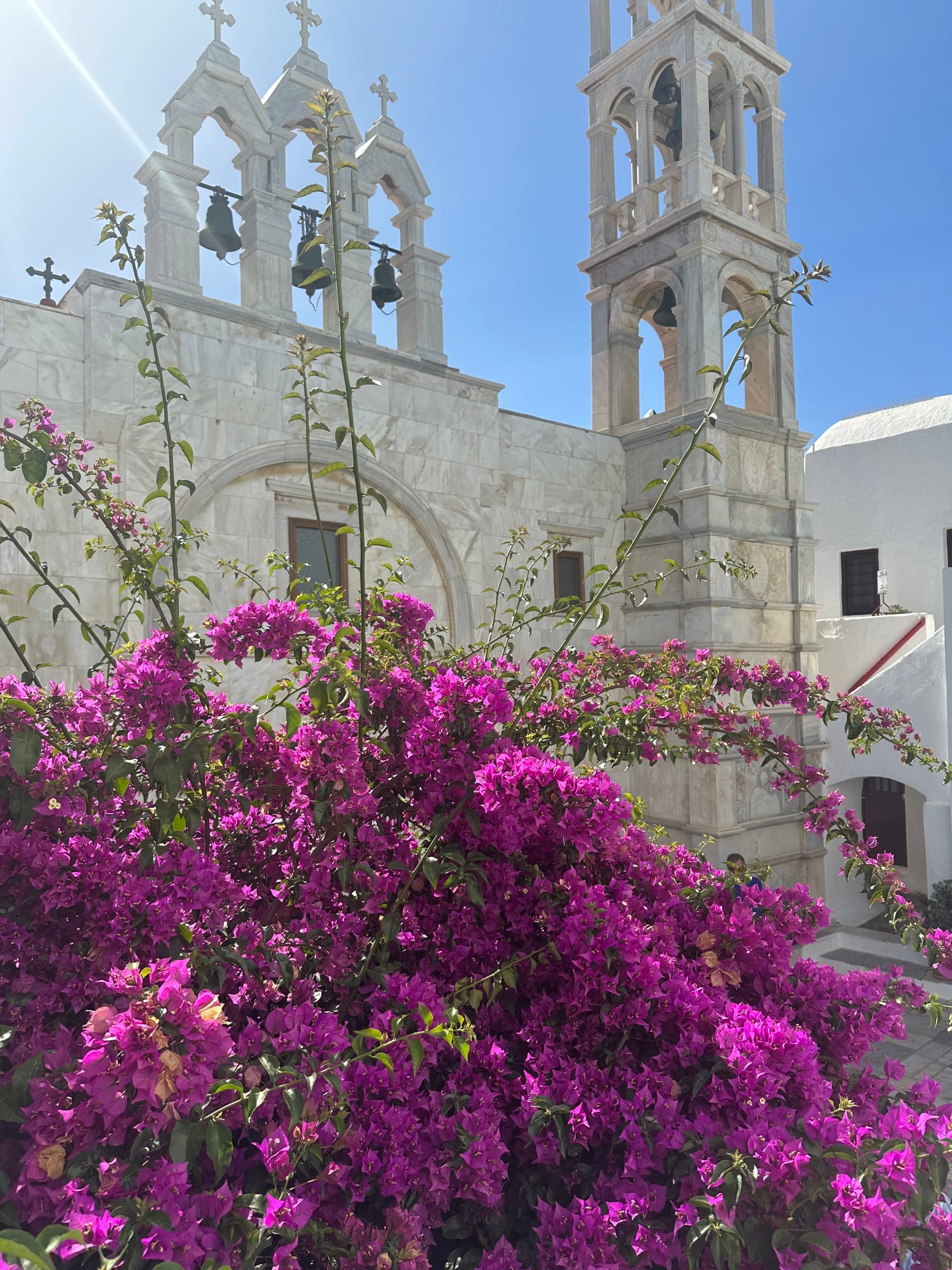 View of city architecture as a profusion of purple flowers climb the stone facade on a sunny day.