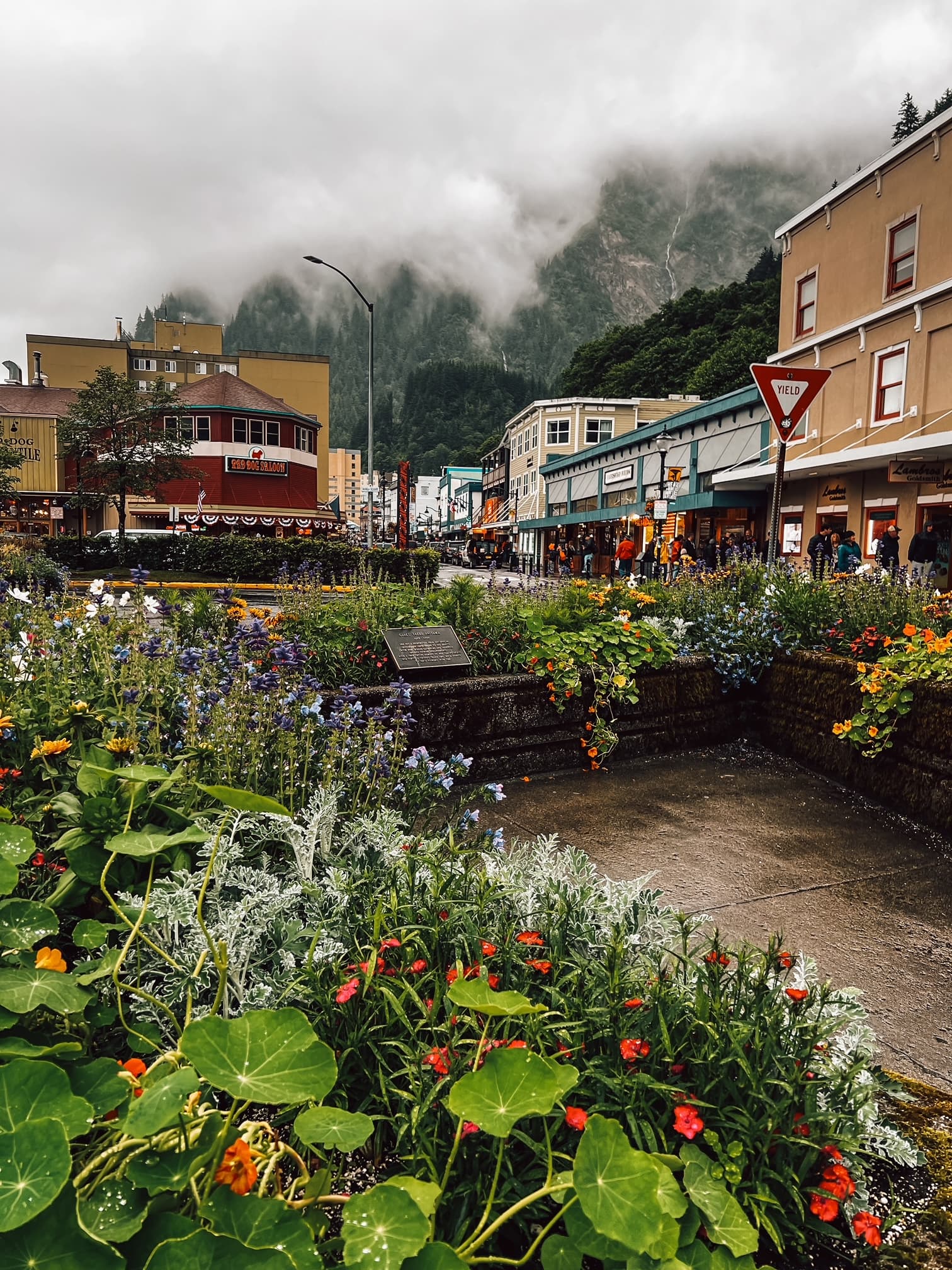 A verdant Juneau under a cloudy sky.