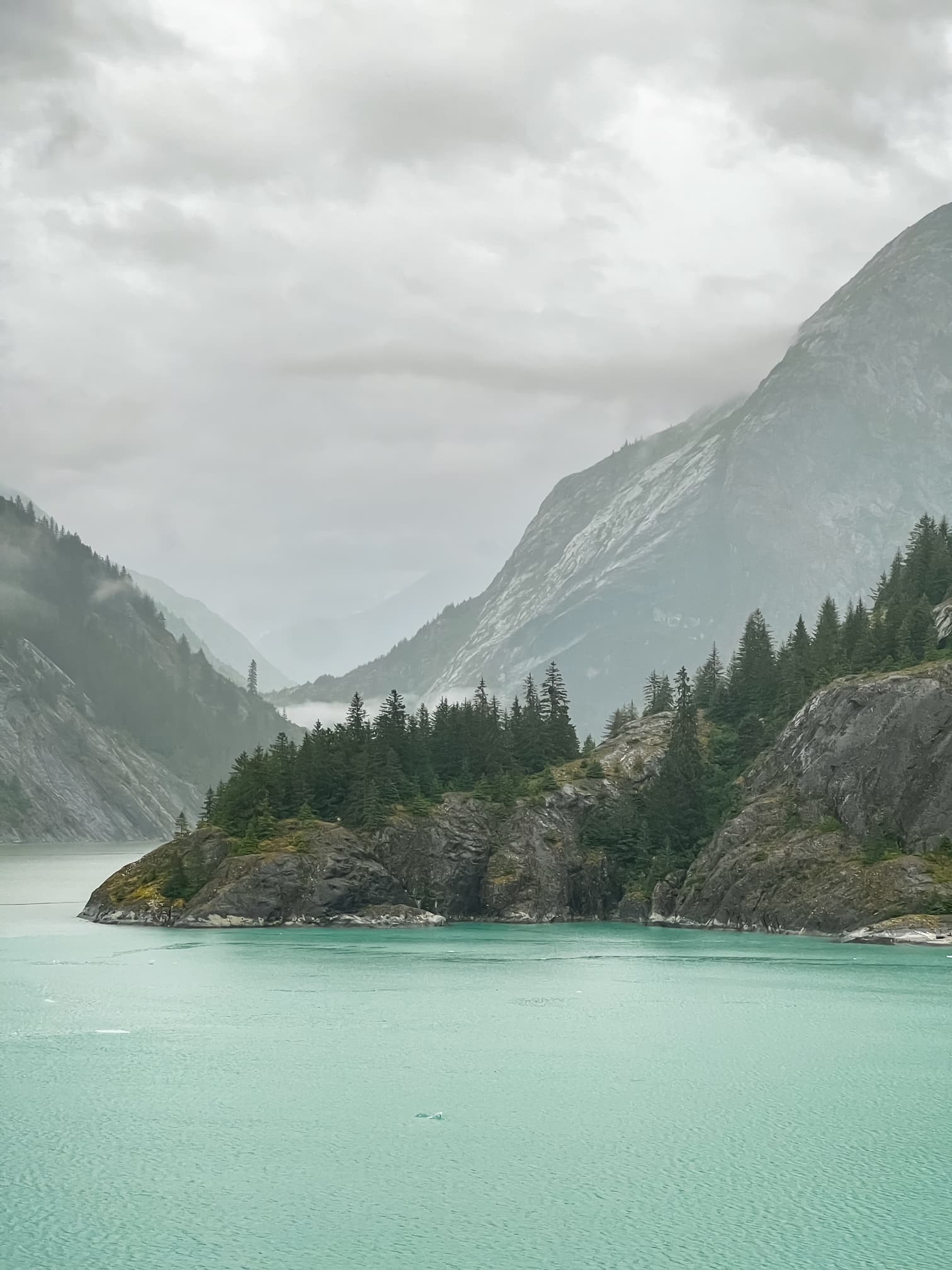 A waterway winds its way through rocky land formations covered in evergreen trees on a misty day.