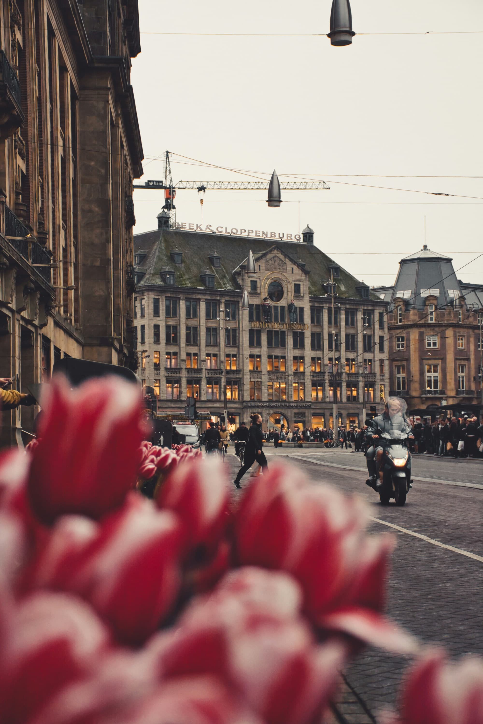 Vibrant red tulips are in focus with a bustling street scene softly blurred in the background.