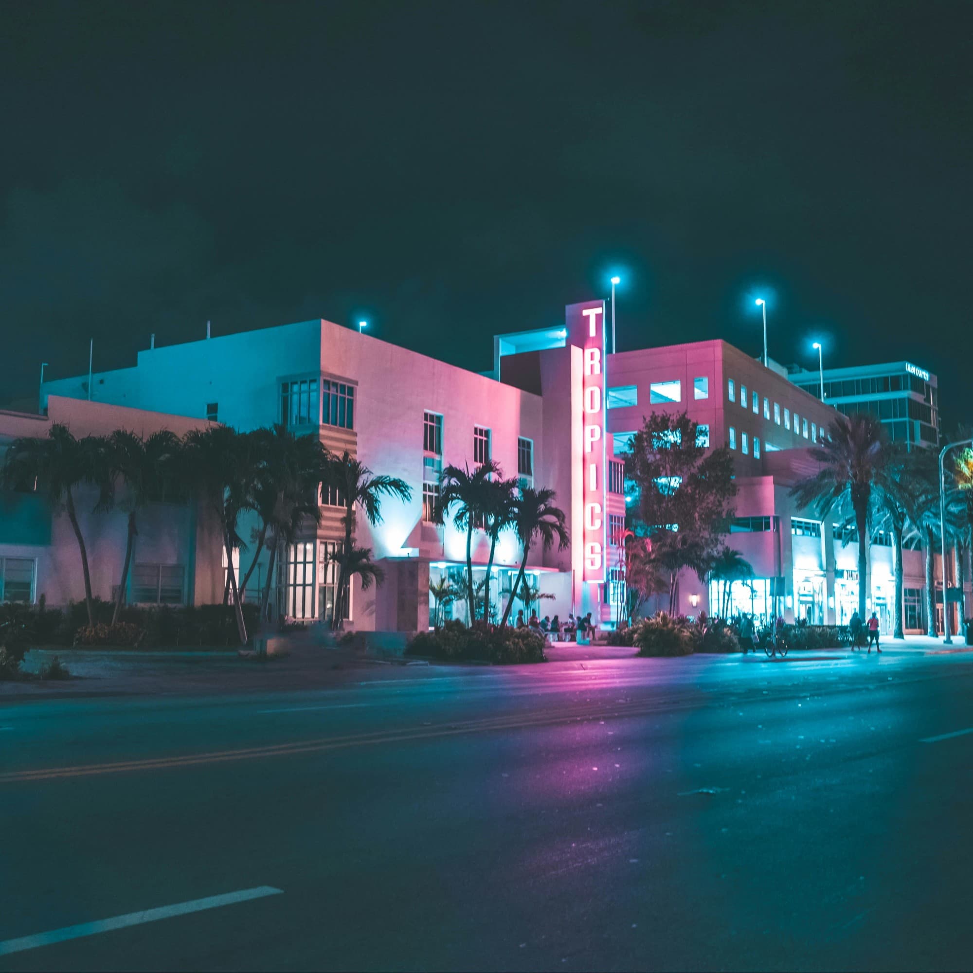 Street during night with buildings lit up with lights and palm trees.