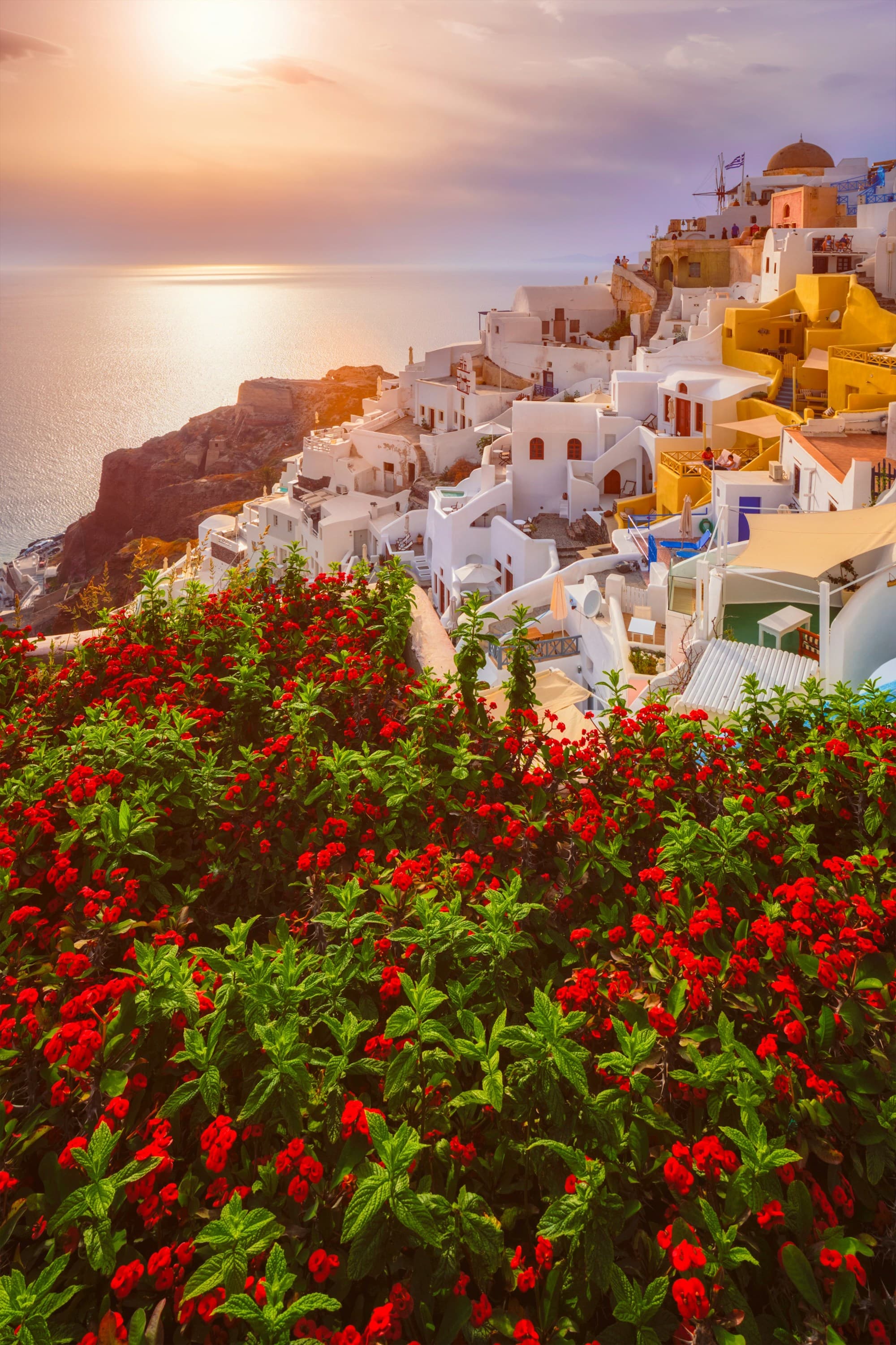 A scenic view of Santorini’s iconic white buildings with vibrant red flowers in the foreground and a sunset over the sea in the background.