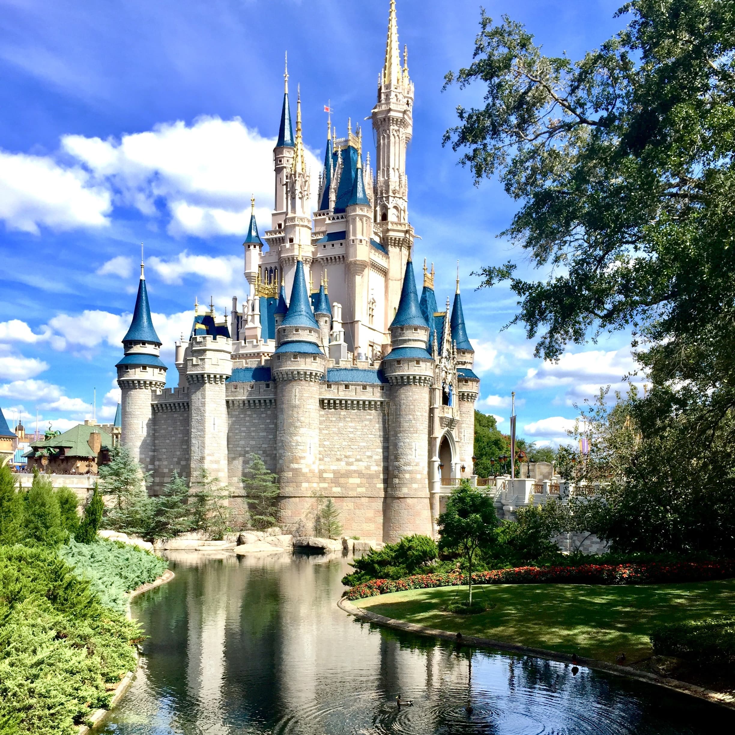 Disneyland palace from a distance