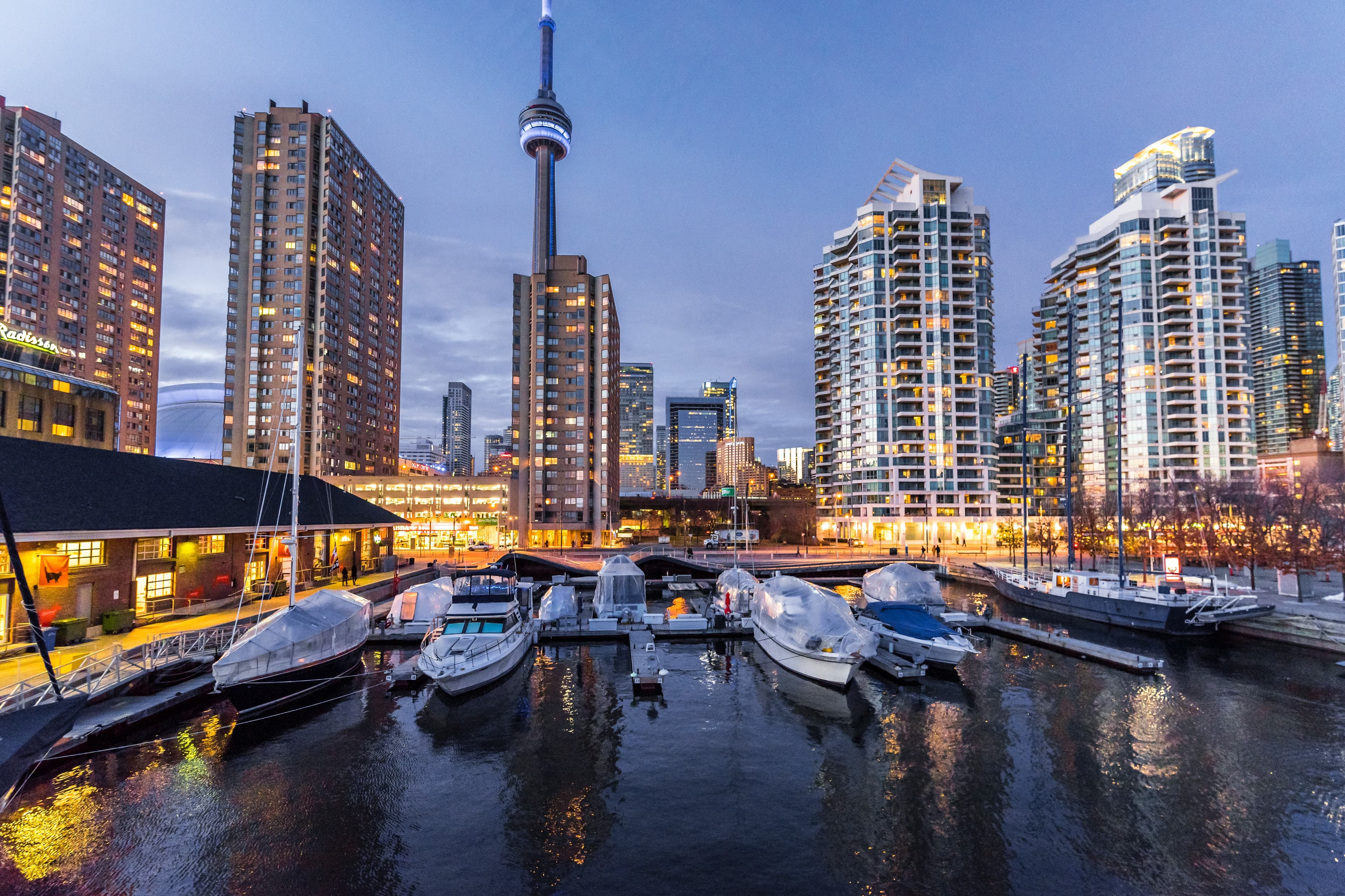 Toronto coast skyline at nighttime.