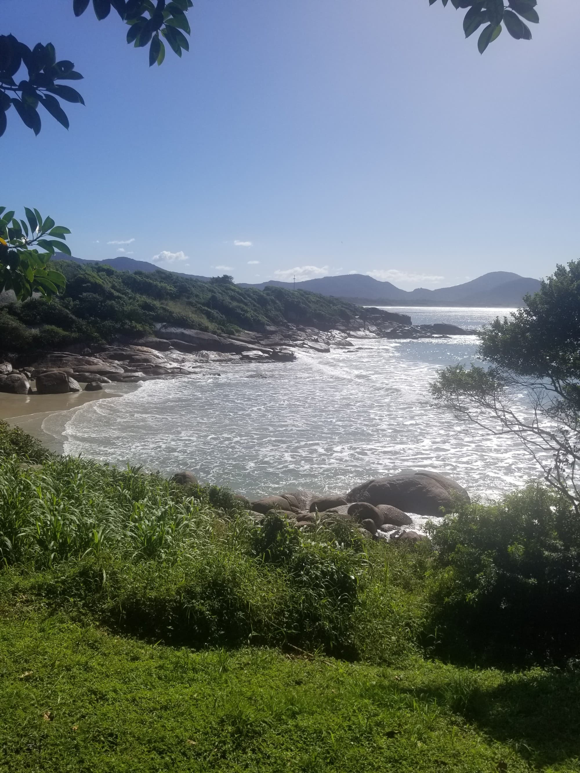 View of a beach on the river during the daytime