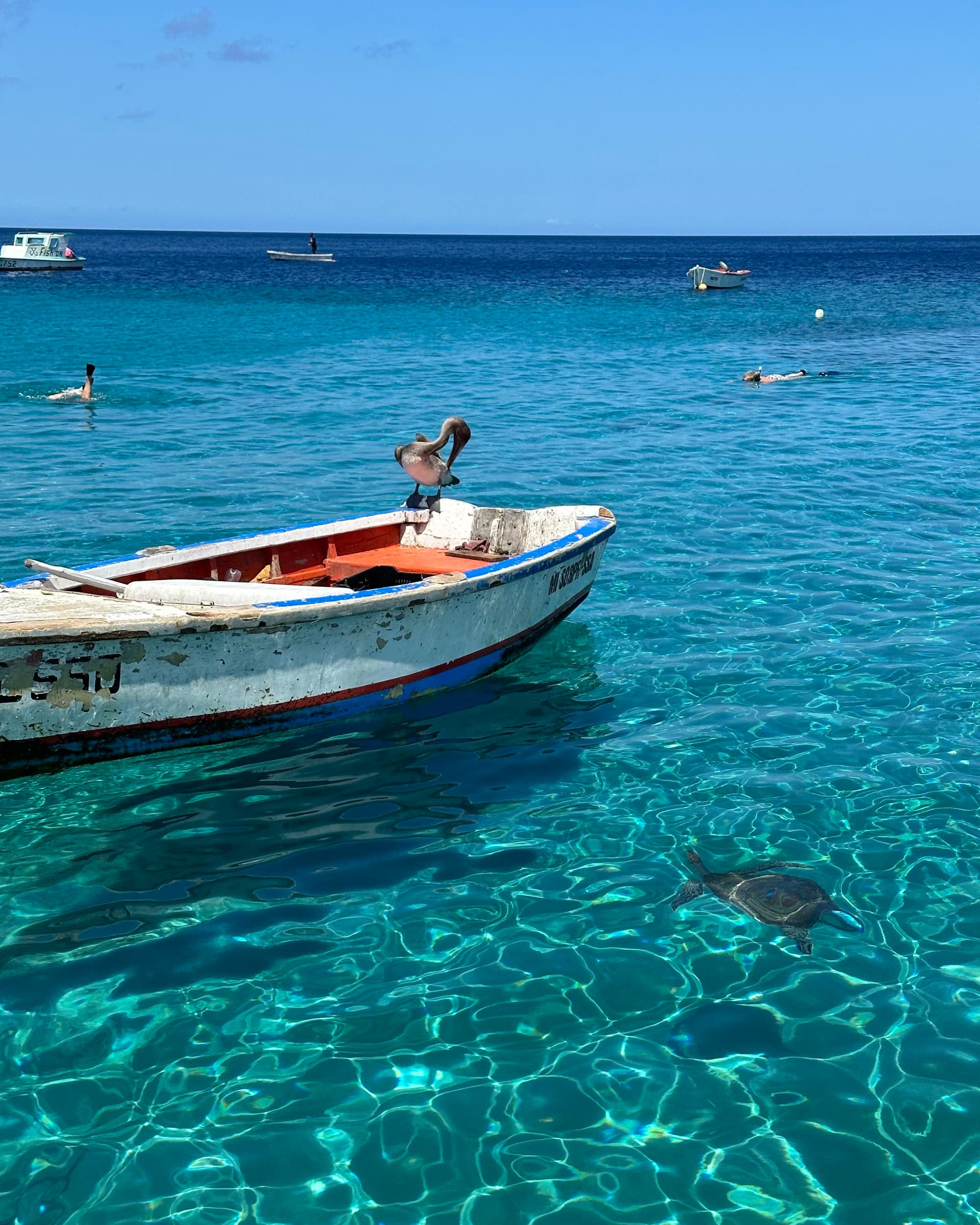 A white boat over bright blue water