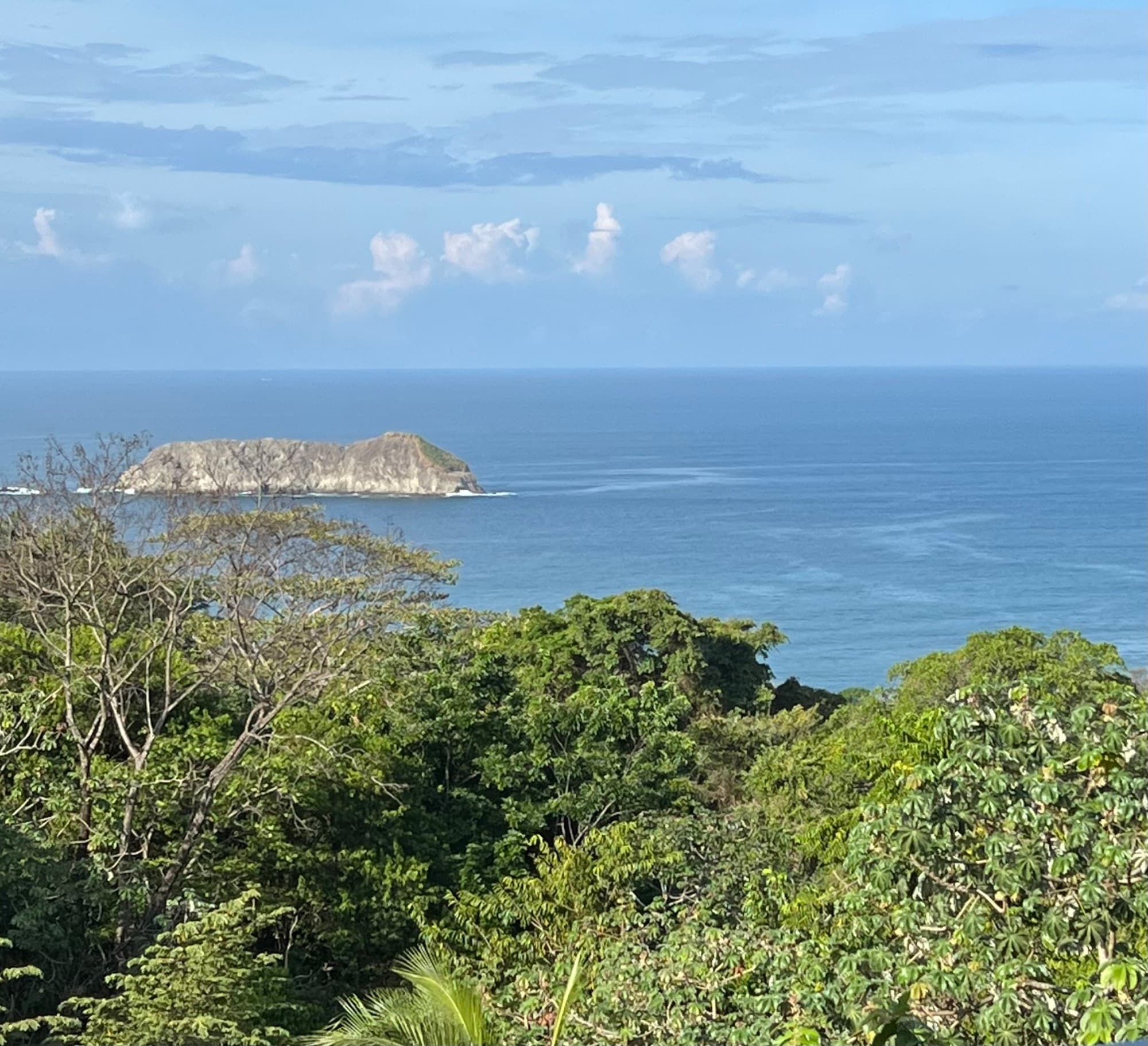 A serene island view framed by lush greenery and the vast blue ocean.