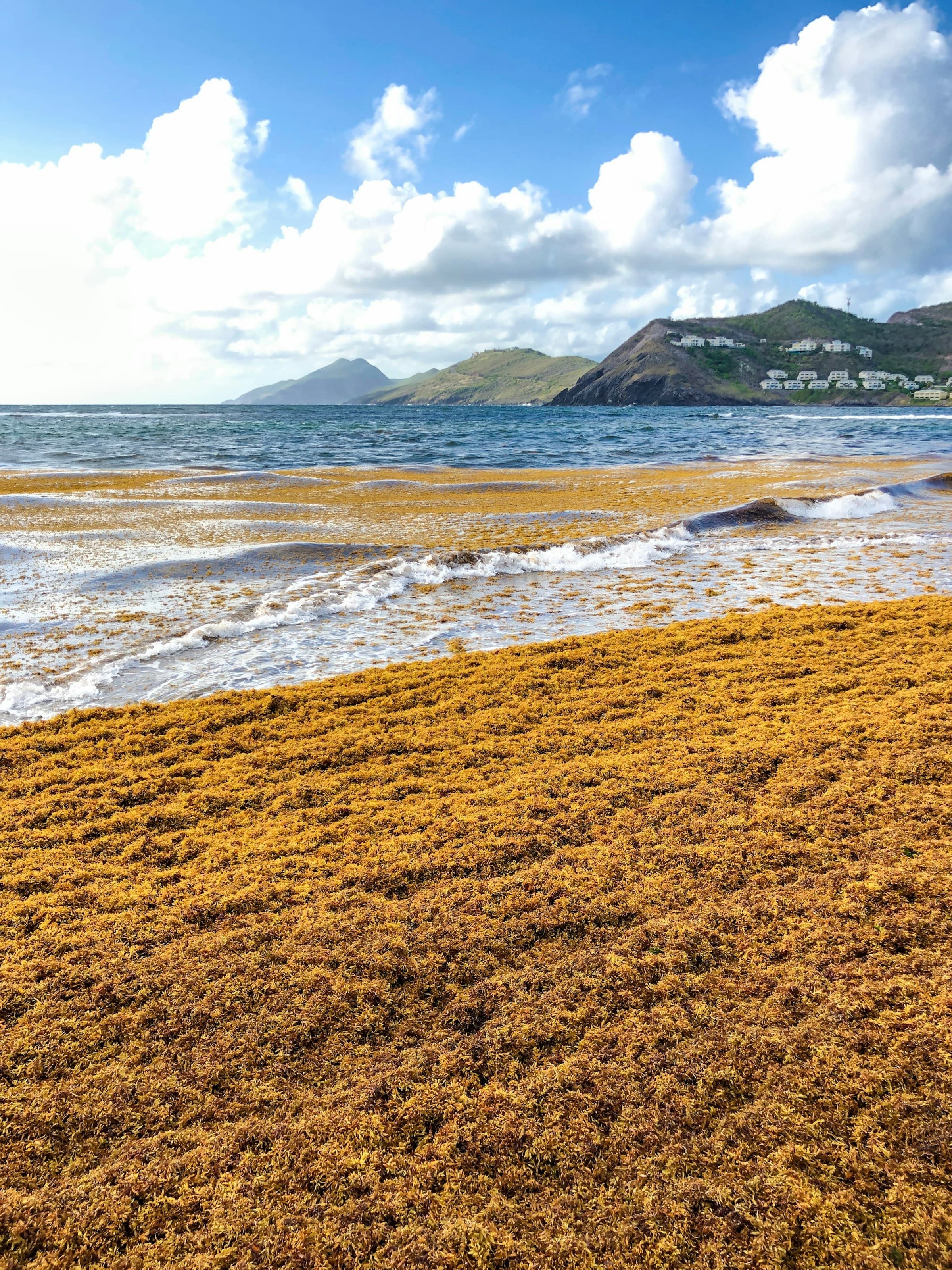 Shore at Kittian Village, Saint Kitts & Nevis.