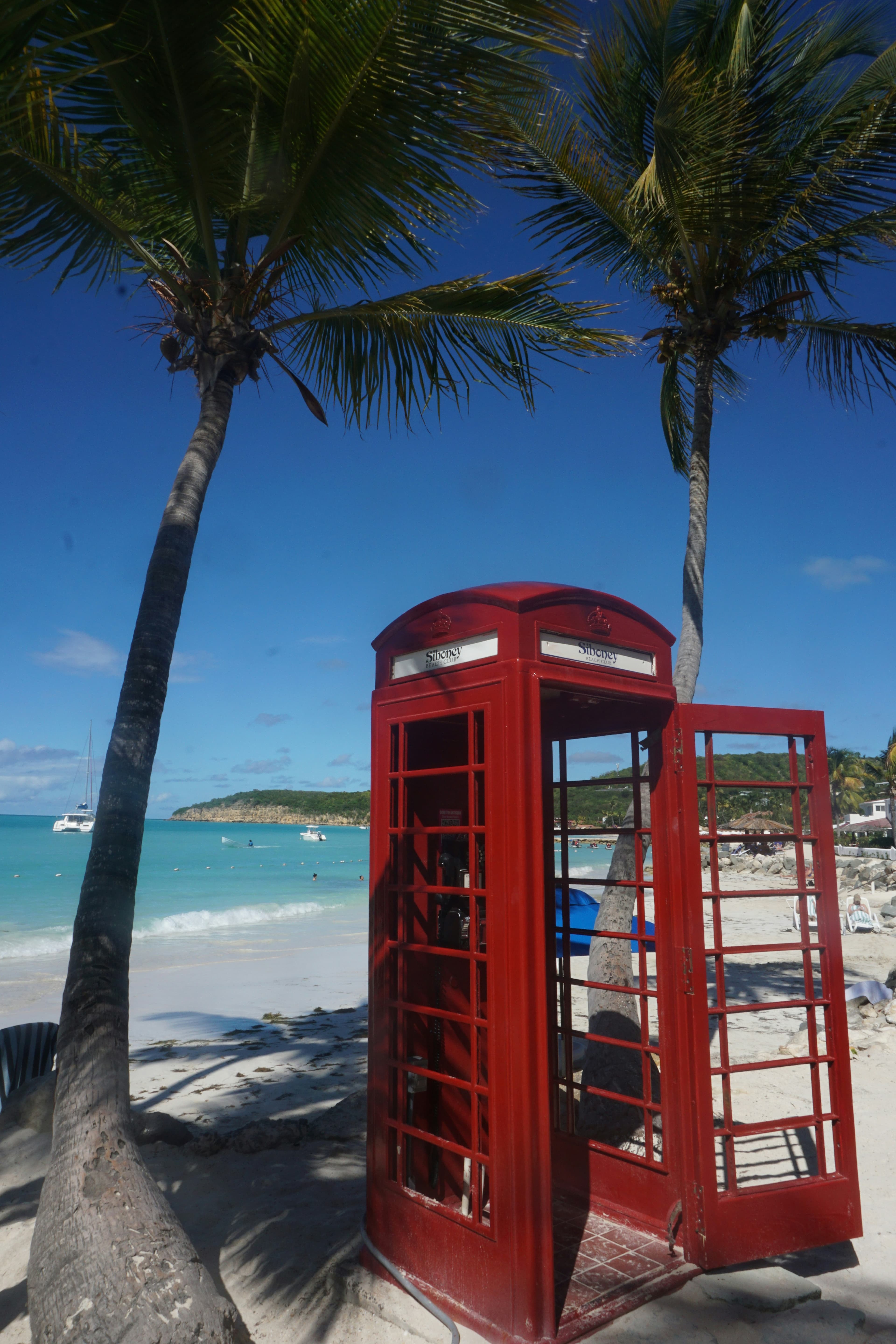 A red telephone box sitting on a beach under palm trees during the daytime