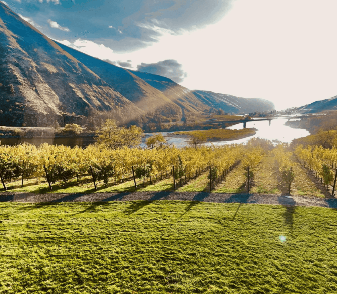 The image captures a serene lakeside view with a winery overlooking forested hills under a partly cloudy sky with the sun shining through.