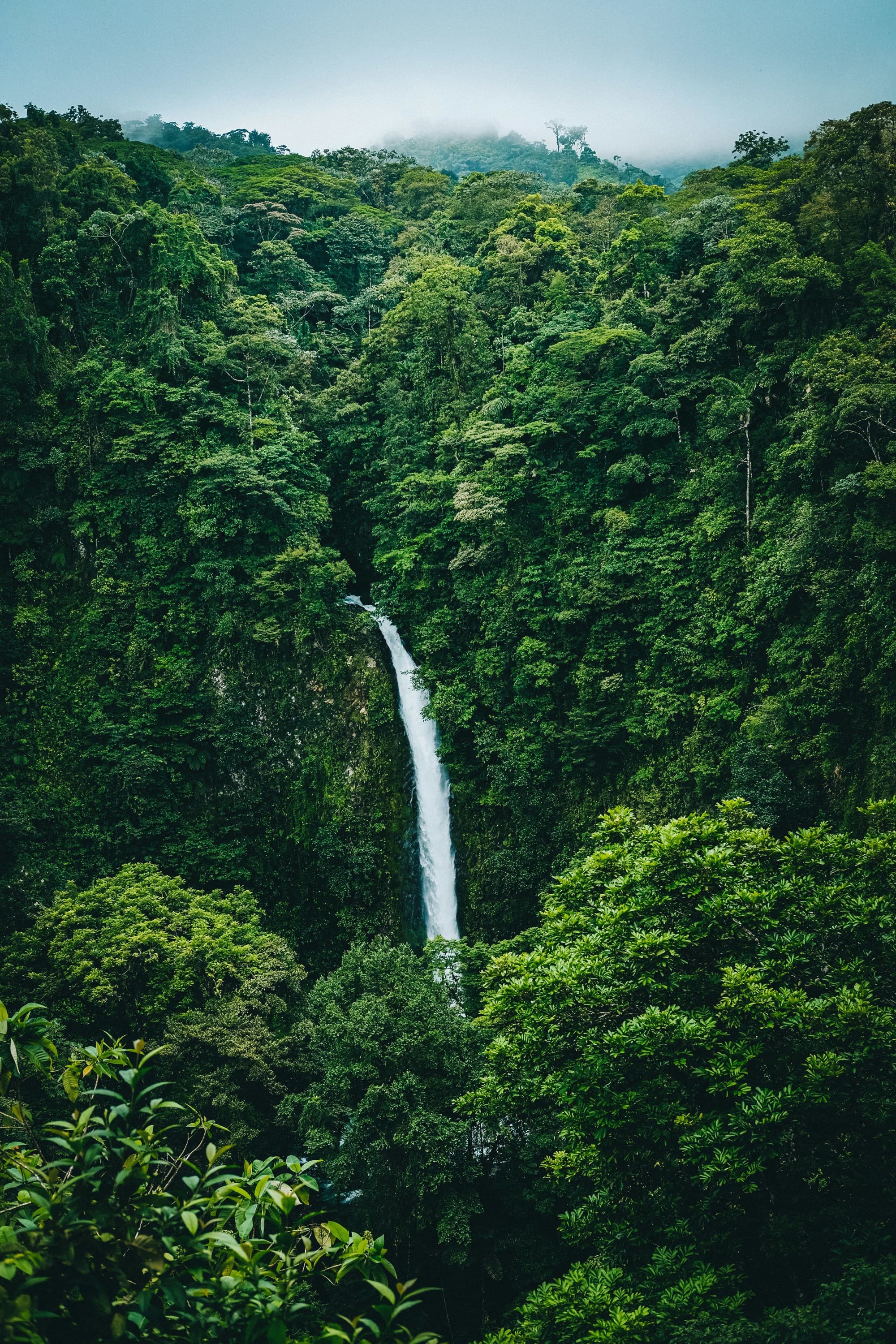 The image portrays a serene waterfall surrounded by lush greenery, set in a tropical forest.