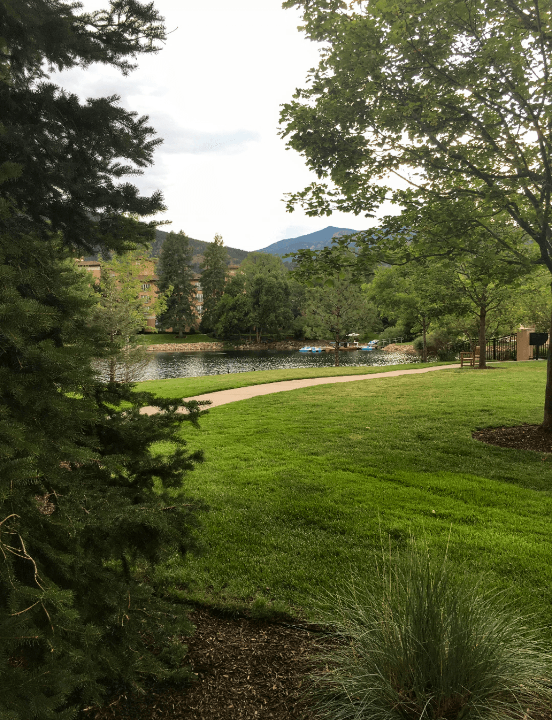 A view of trees, grass and a path near a creek during the daytime. There is a mountain peak in the far distance.