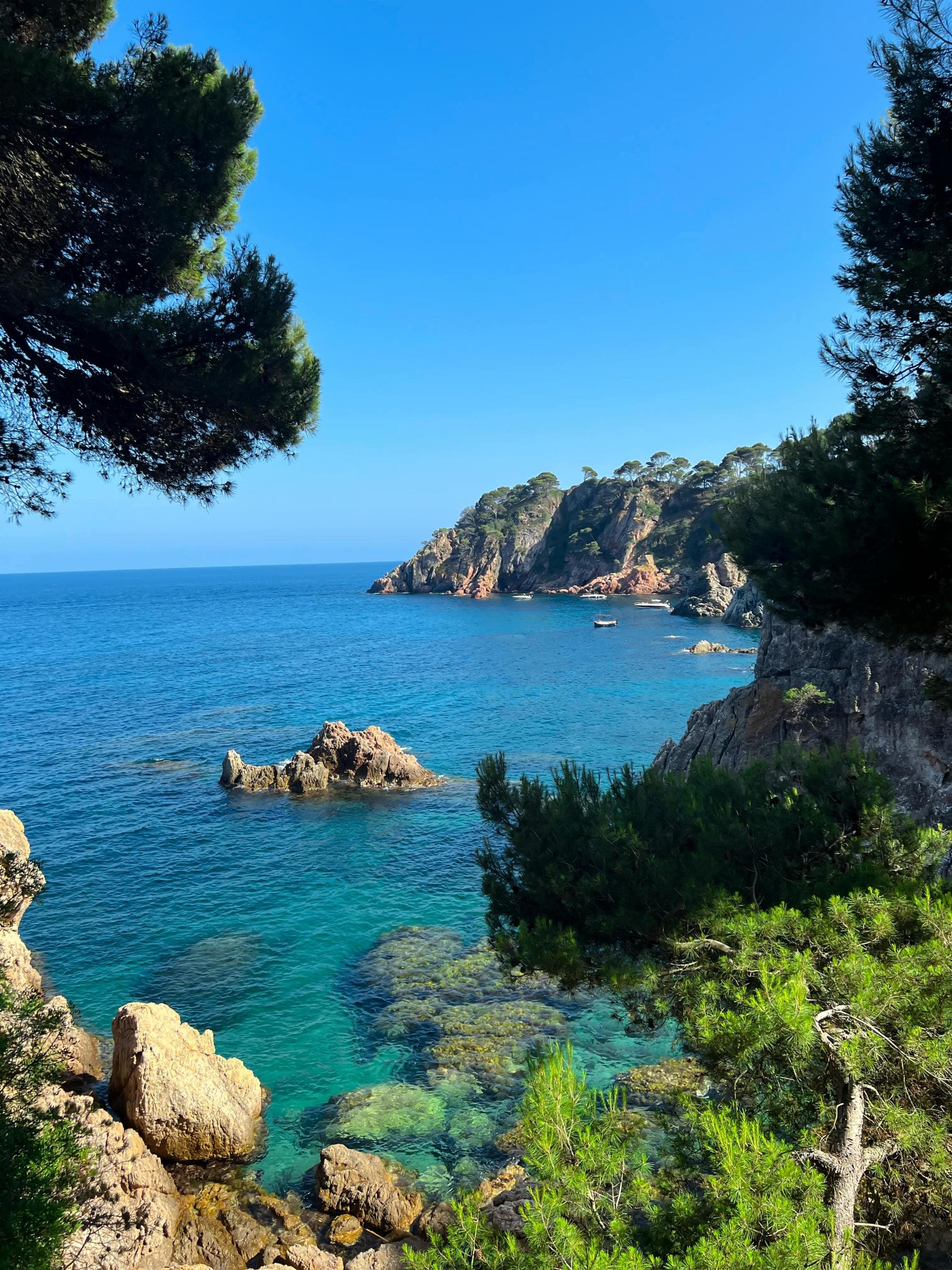 A rocky shoreline on the water during the daytime