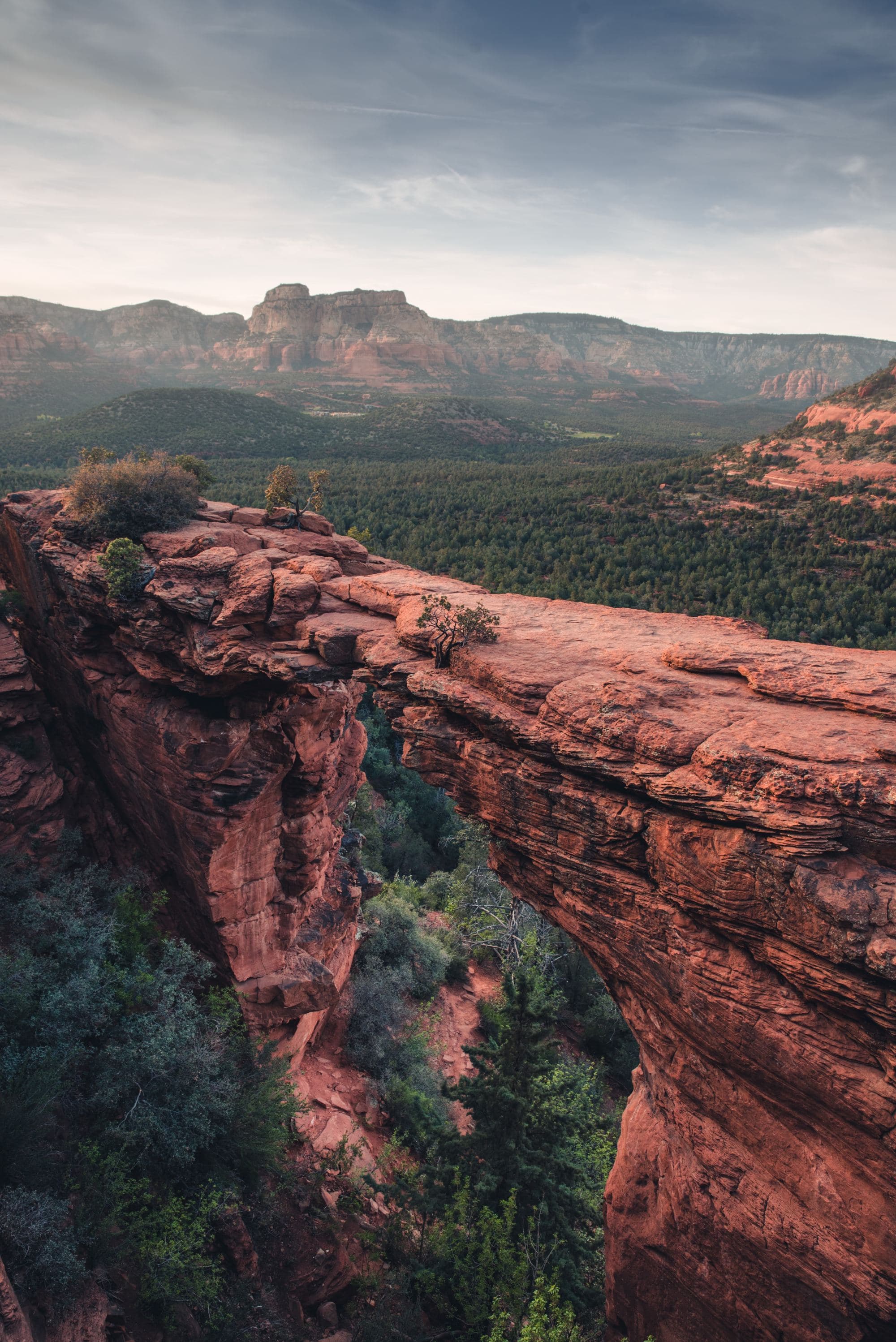 Brown rock formation near green trees during daytime.