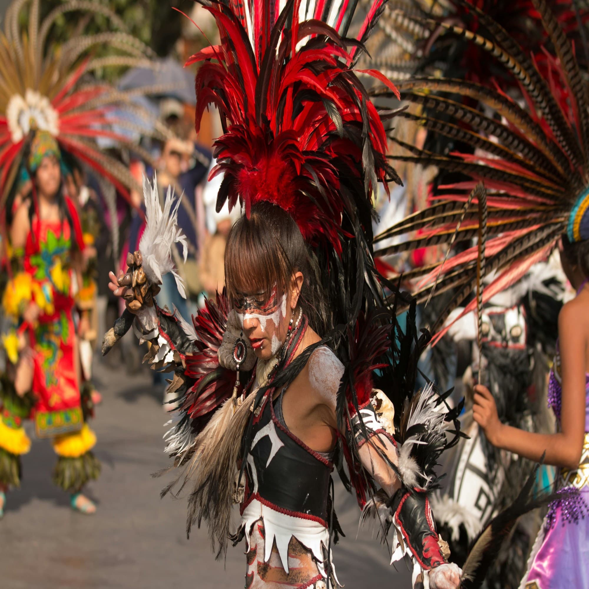 A vibrant cultural event featuring individuals in traditional, colorful feathered costumes, likely engaged in a dance or ceremony.