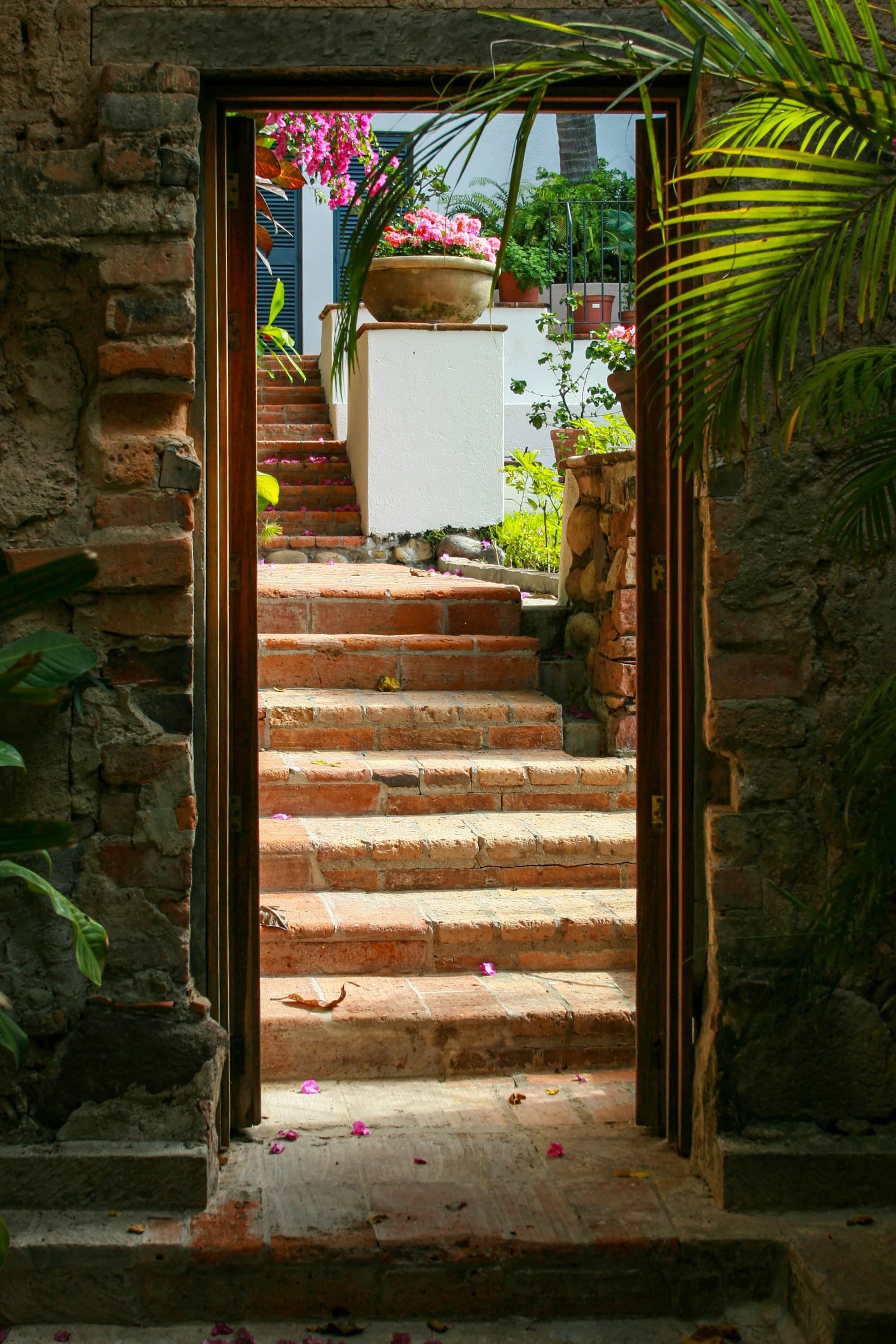 The image offers a glimpse through a rustic arched doorway to a sunlit staircase adorned with pink petals and lush greenery.